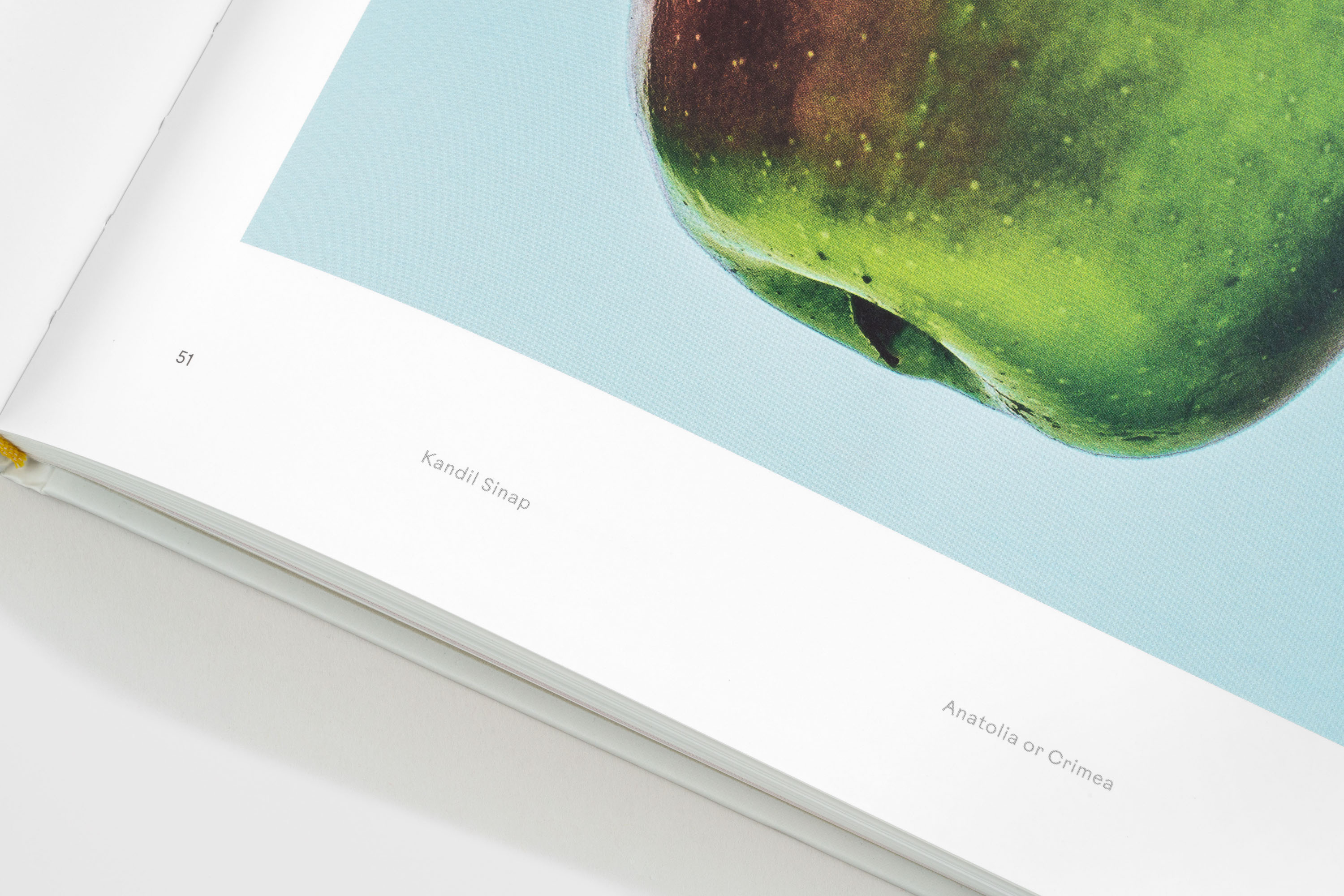 Odd Apples Book - Work by A.A. Trabucco Campos