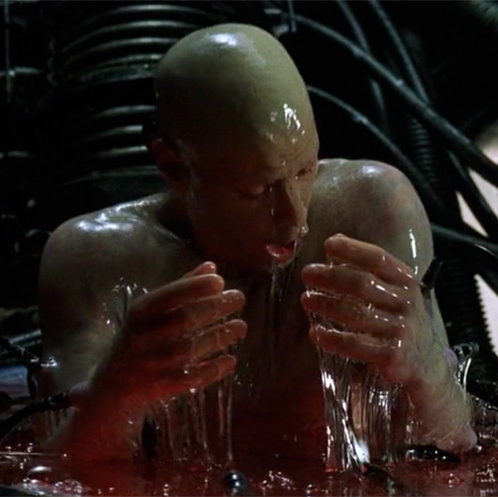 Matrix reloaded, 2003