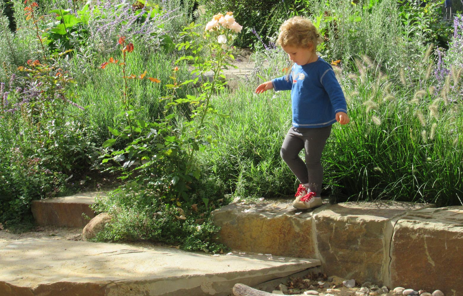 Erfahrungsgarten Kita Janssen-Cilag