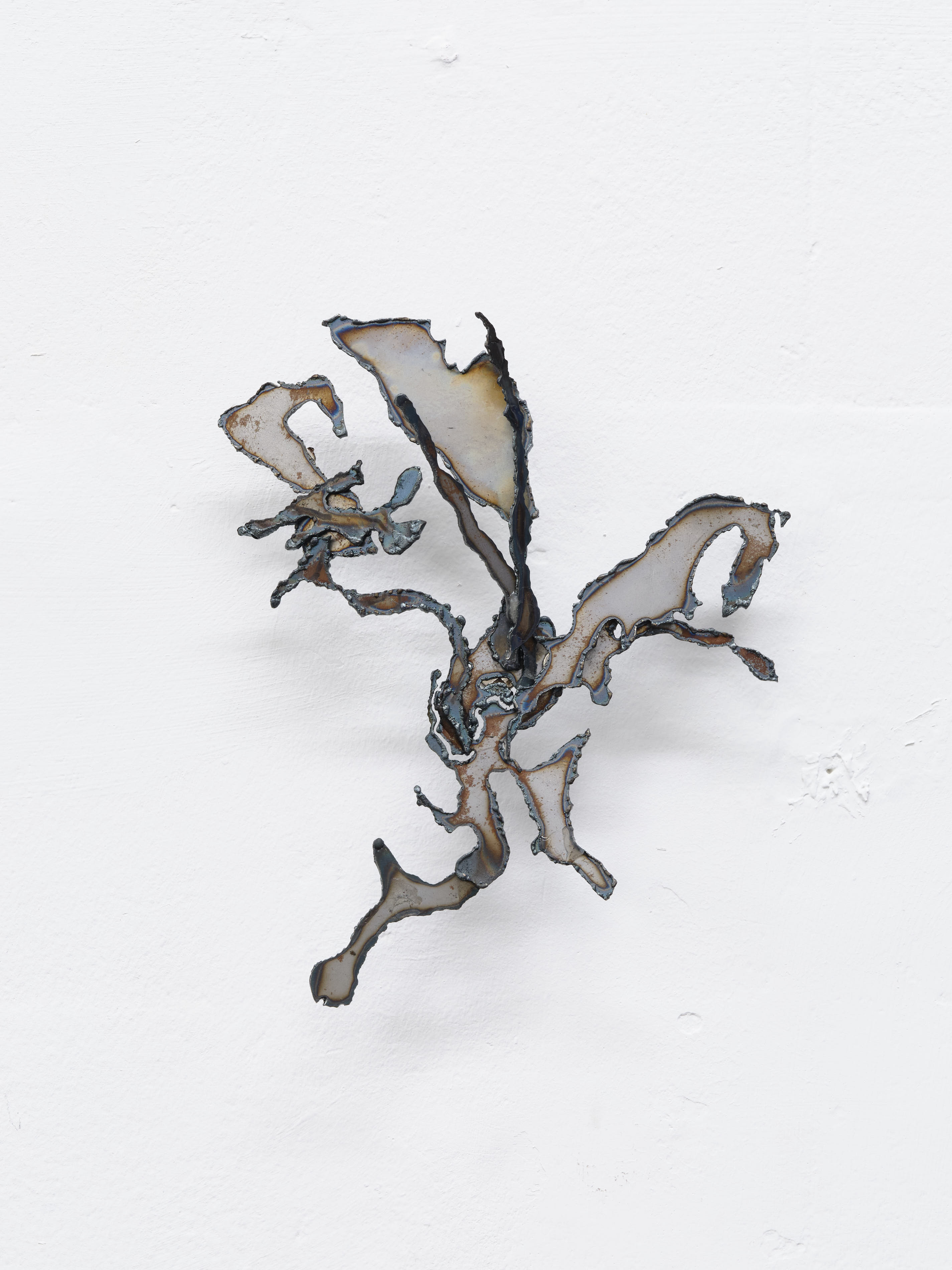 Desert Bloom, 2023, steel. Jasmine Pajdak [Photo credit: M8R8S Studio]