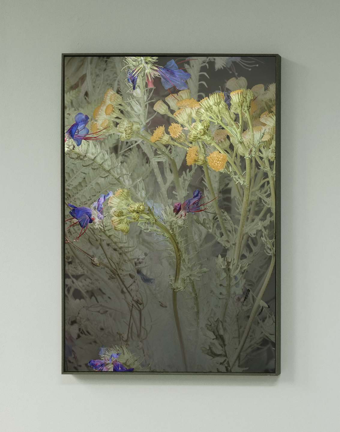 Kunstdok Schiermonnikoog 2019