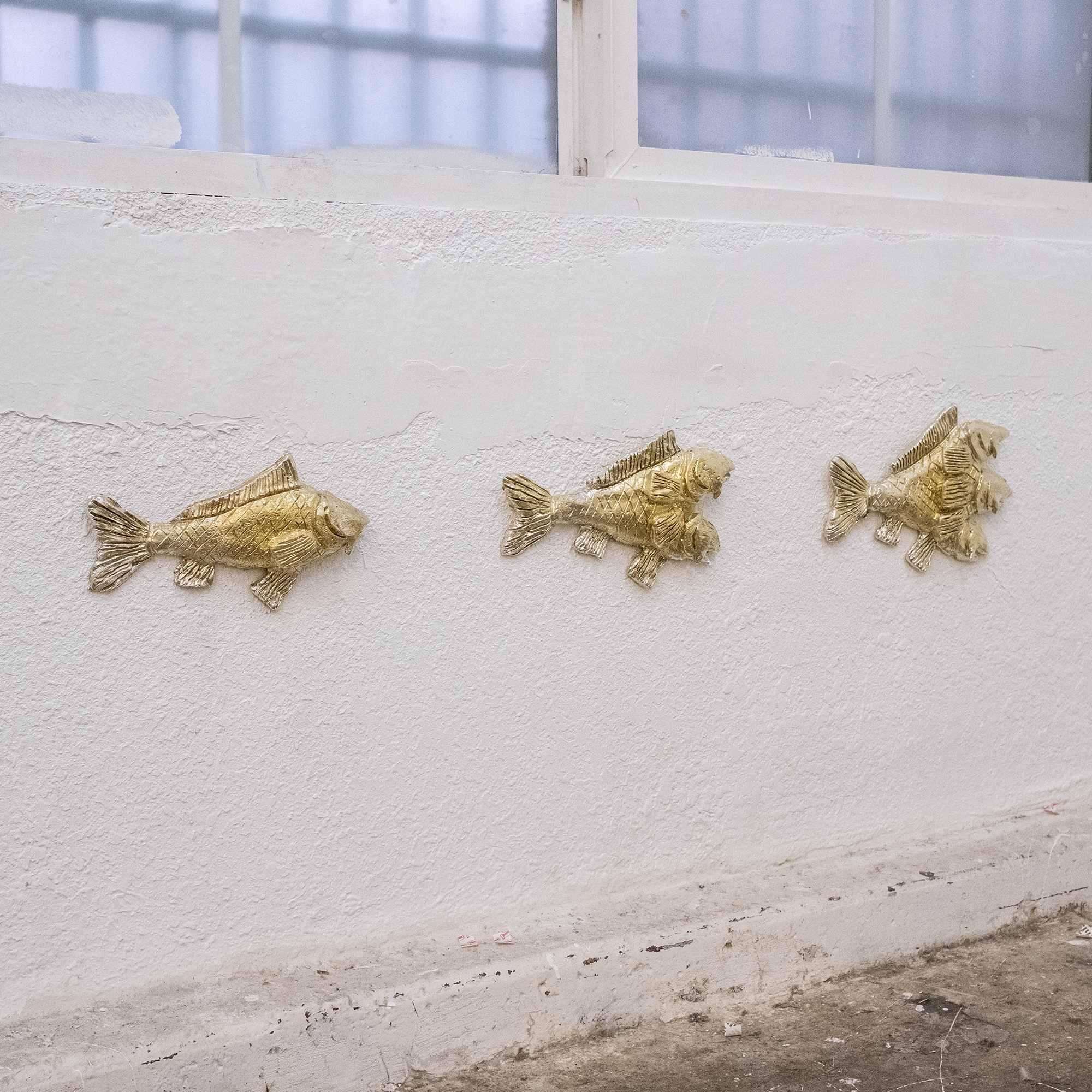 Coelacanth with Wiskers - 2021