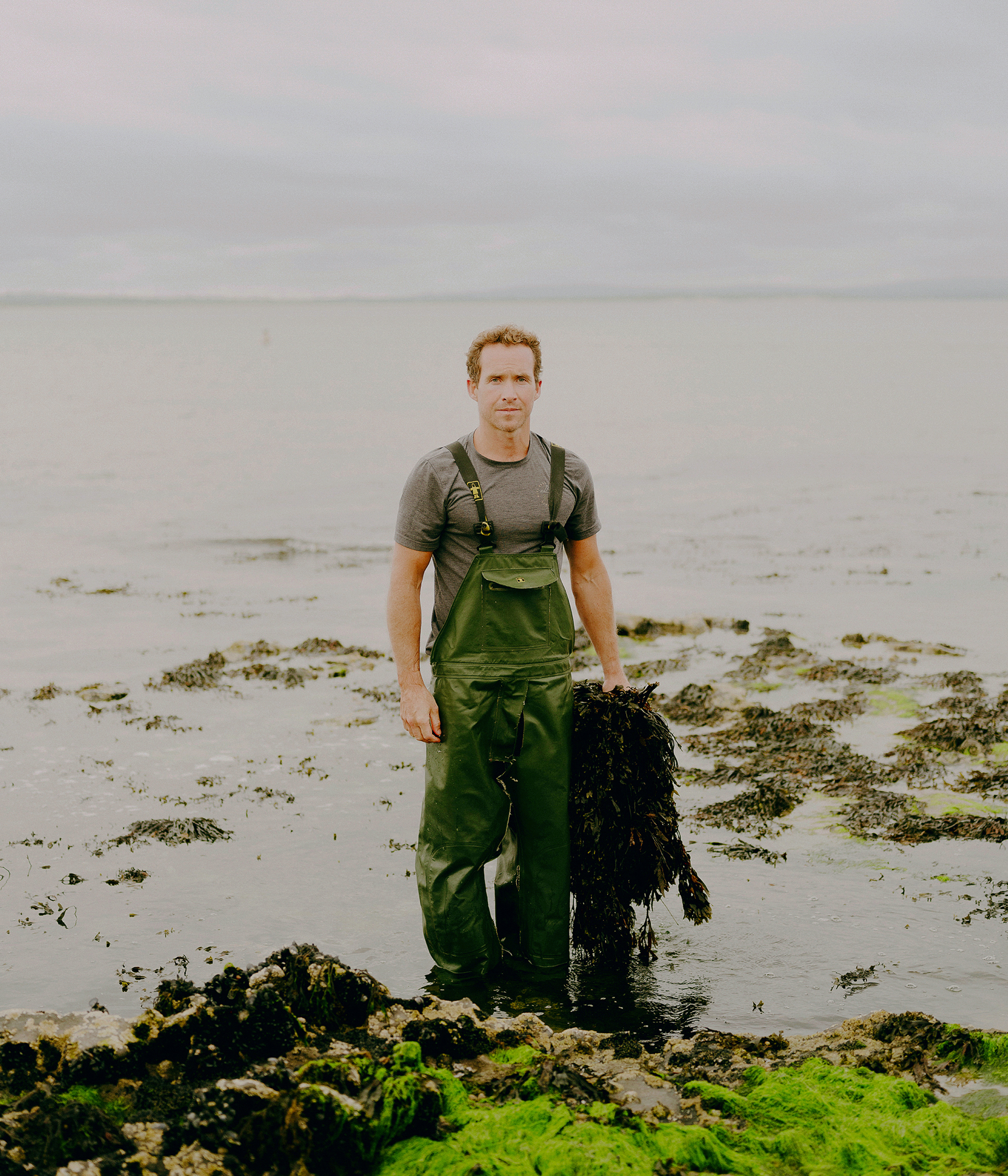 Cain Kilcullen harvesting the seaweed