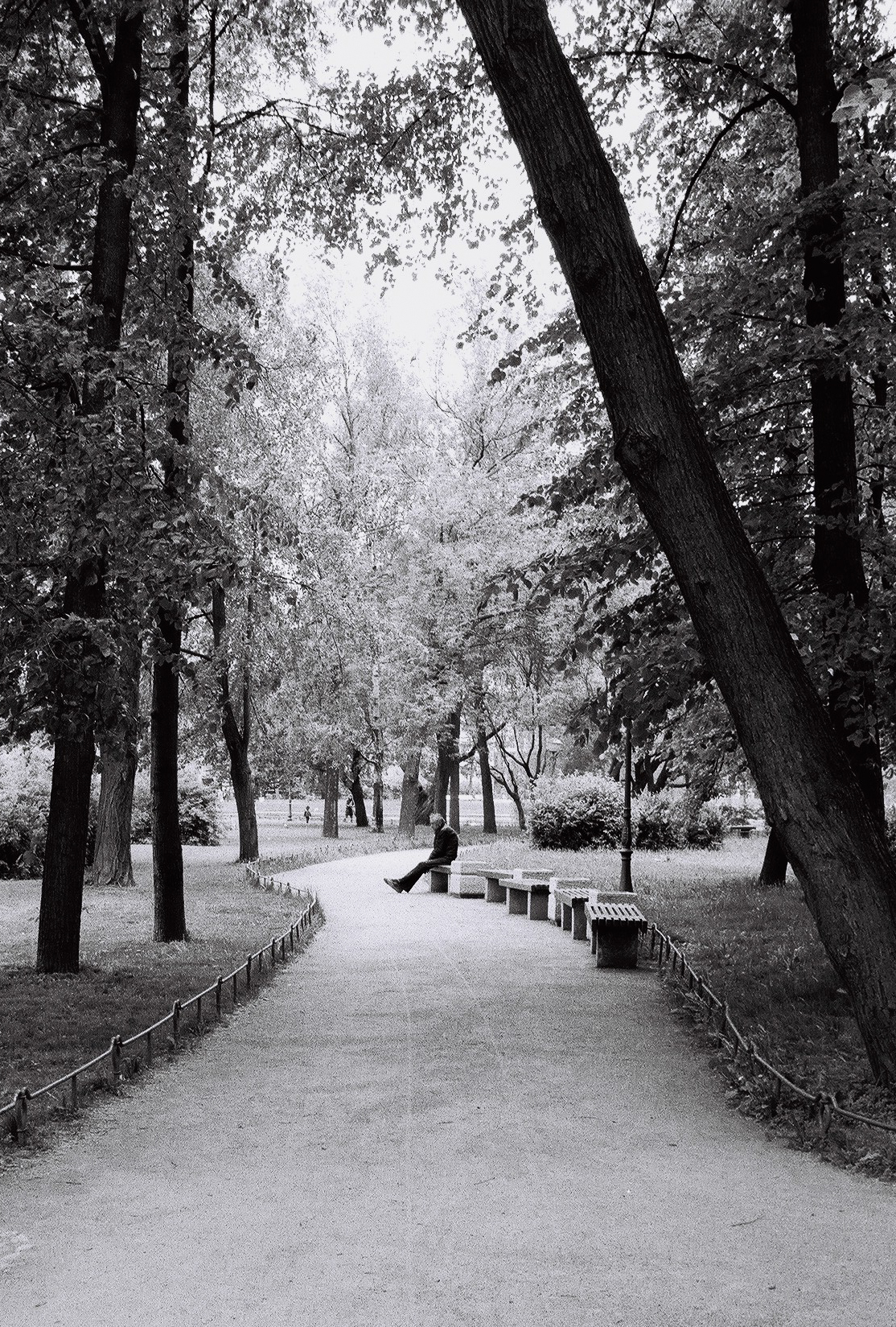 Saint-Pétersbourg, Russie, 2019.