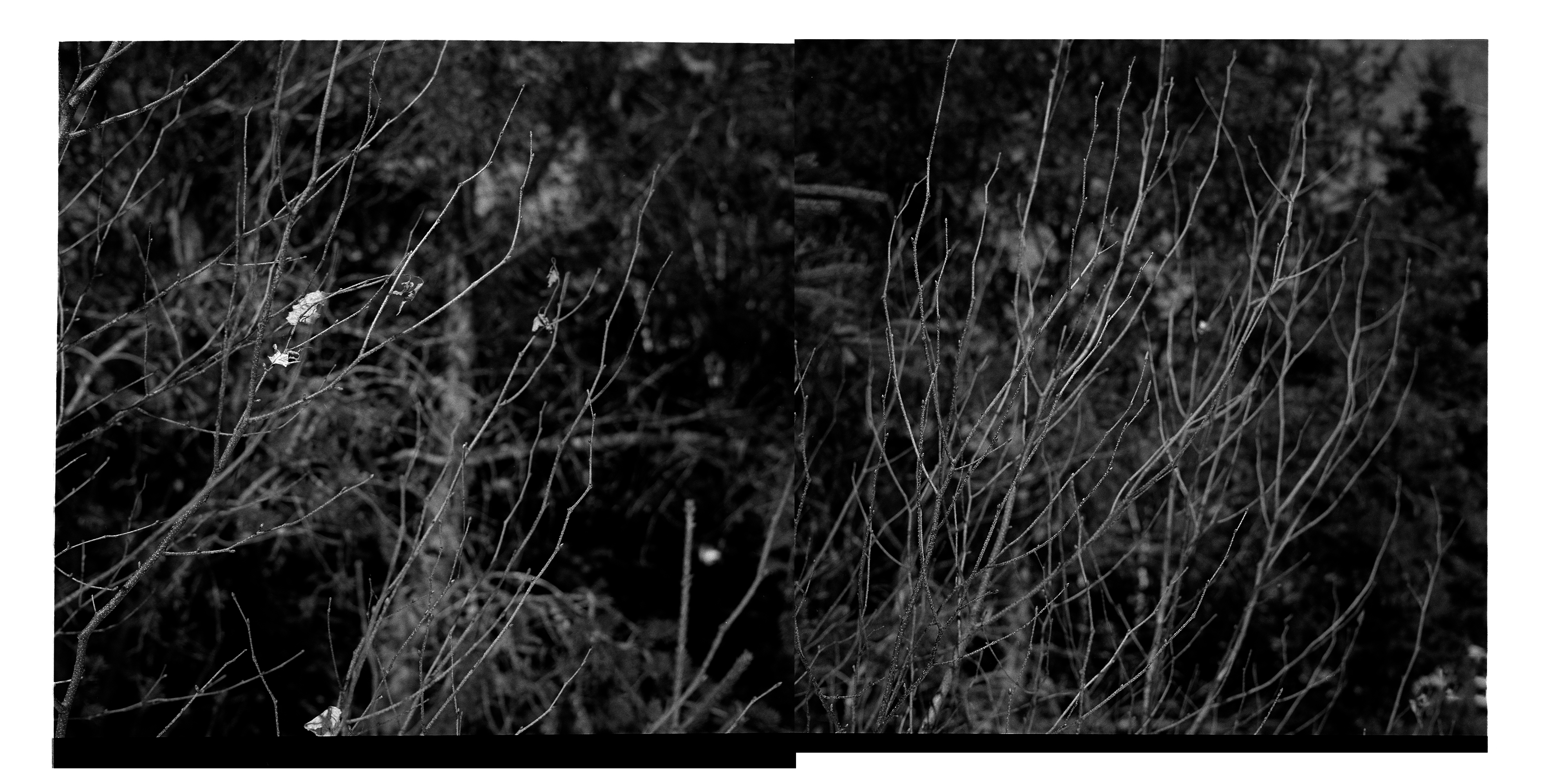 °08, 2015 : impression jet d'encre / pigment print form scanned 120mm negative, 20 x 20''