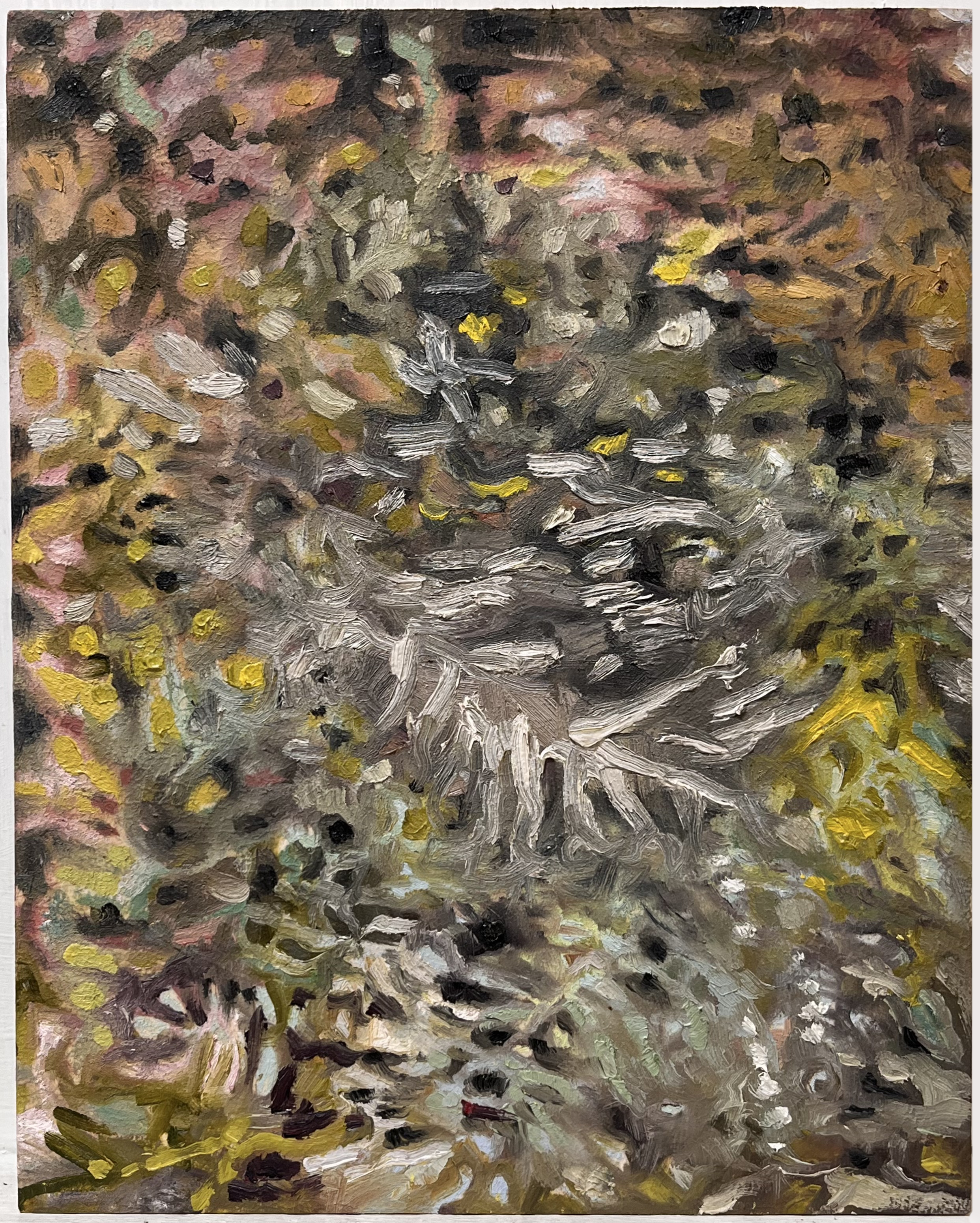 silver fern in morning wind | 10 x 8 inches | oil on panel