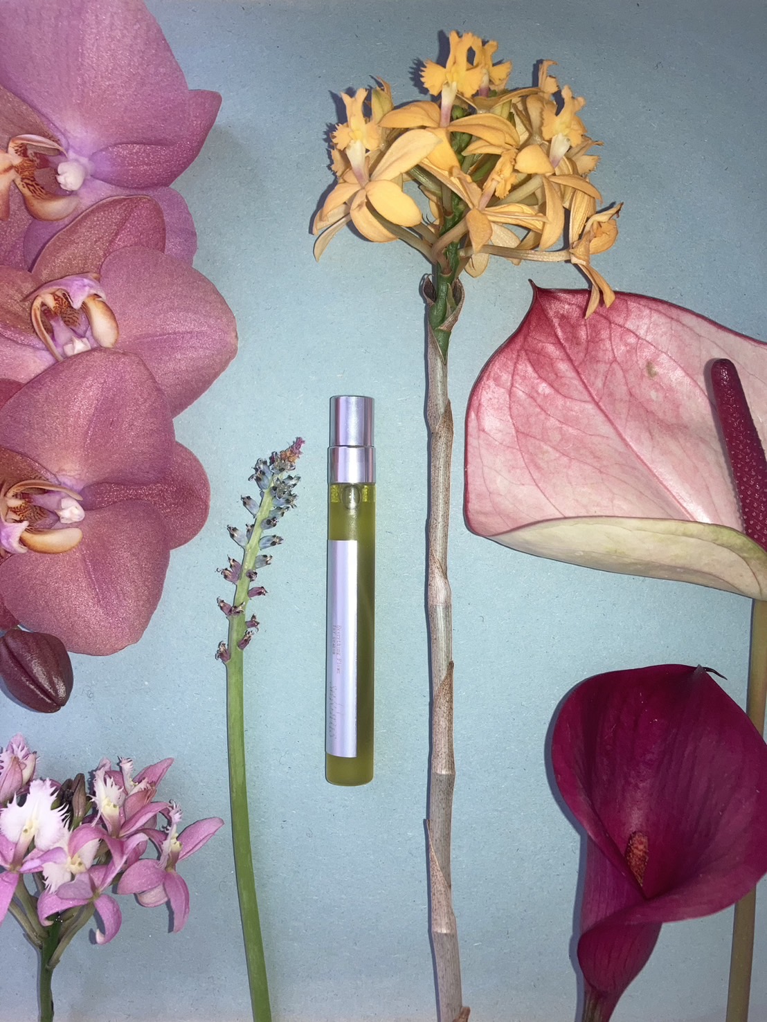 saklaus - for season mist