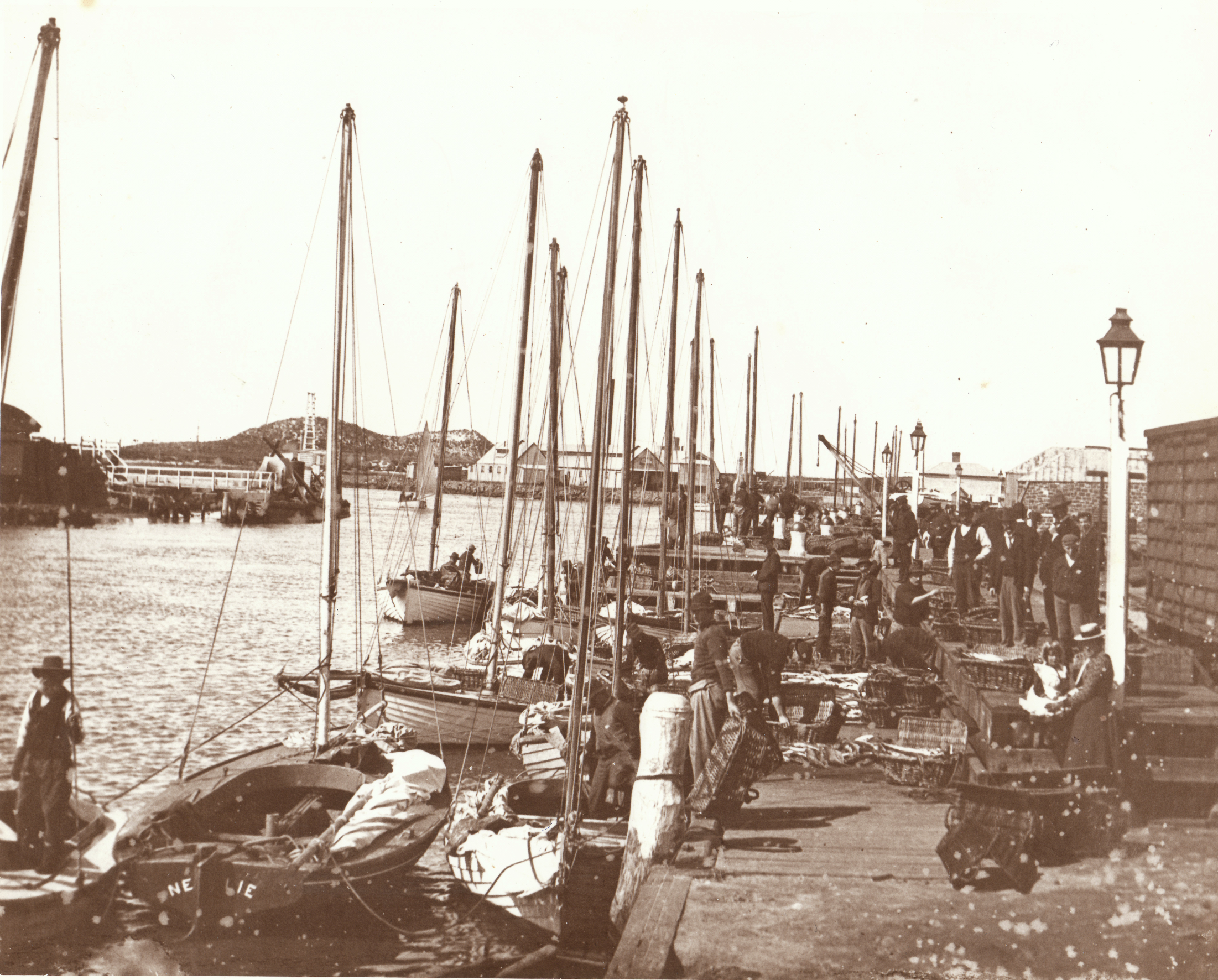 Port Fairy Couta Boat fleet, c. 1900
