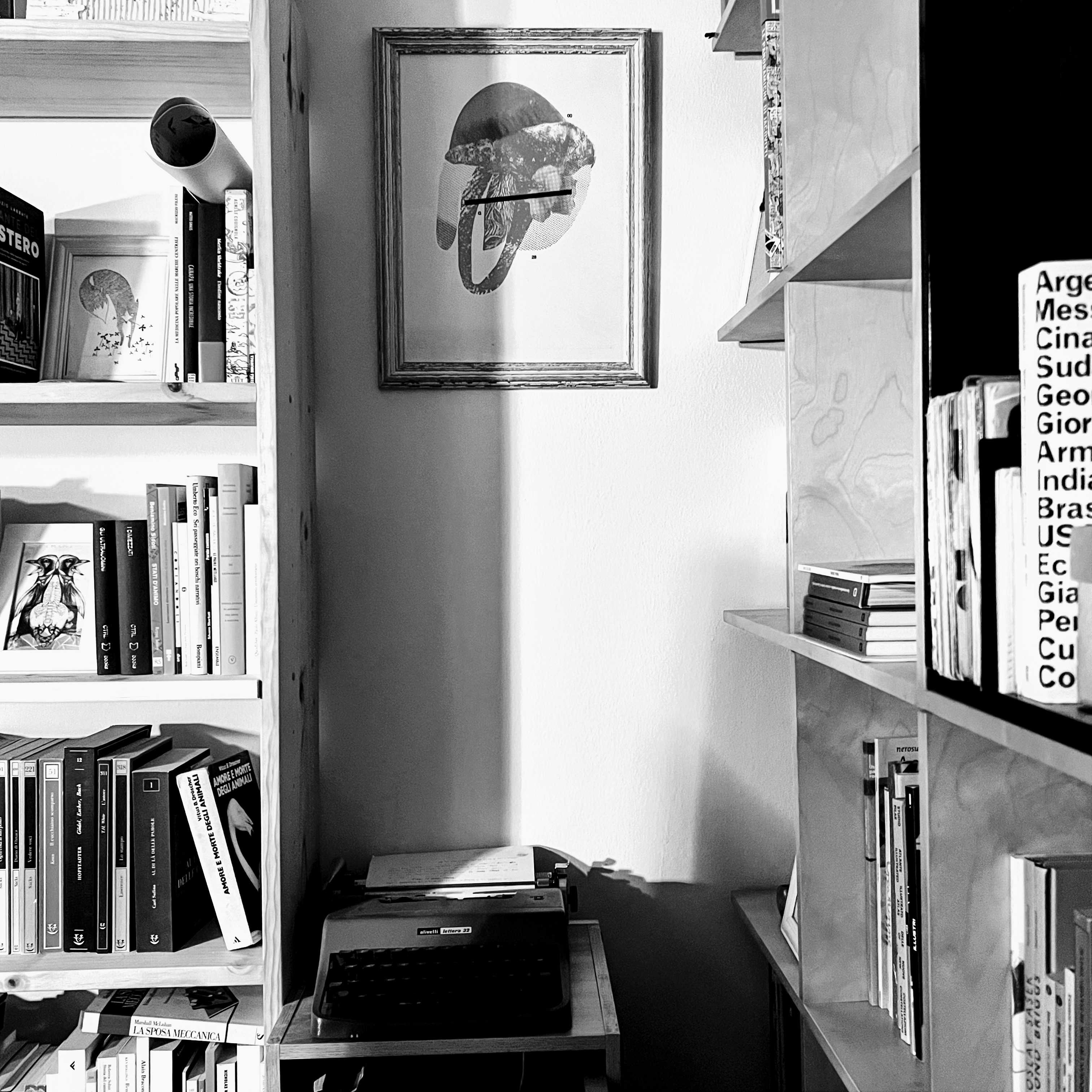 Angolino, Bologna, 25-1-23