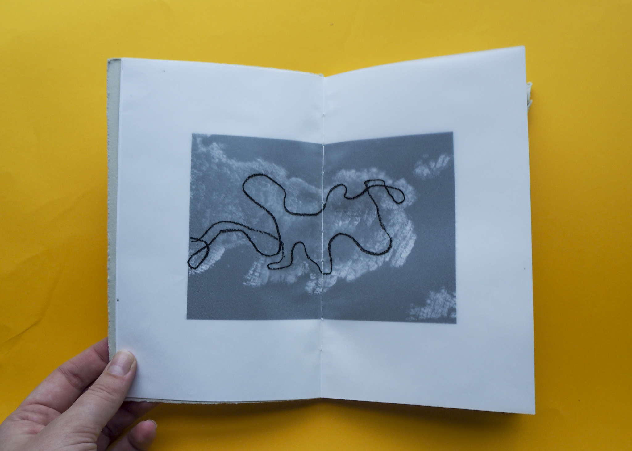 photo, flatlay book