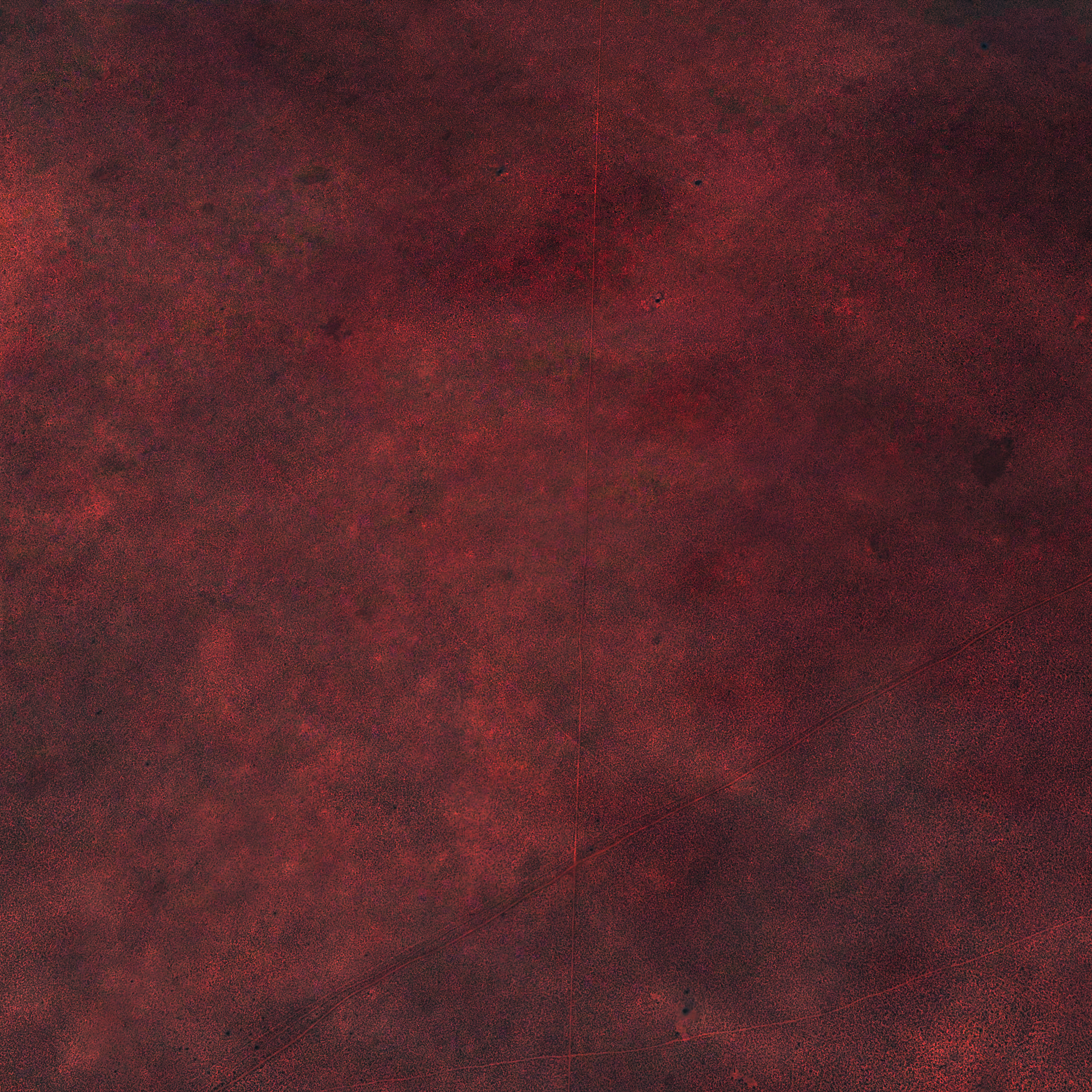 Armas & Toa - Larga Danza (IOR)