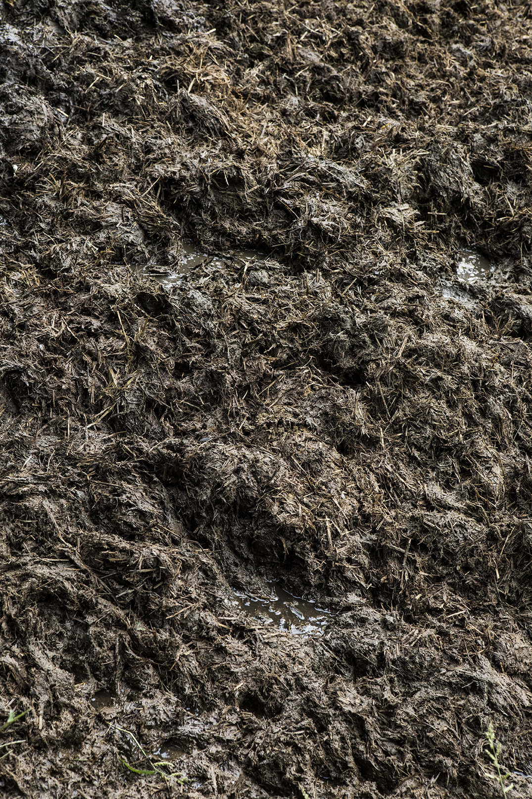 PHOTOGRAPHY RAF STUDIO for YOSHIDA's FARM at  VILLA KUJOYAMA