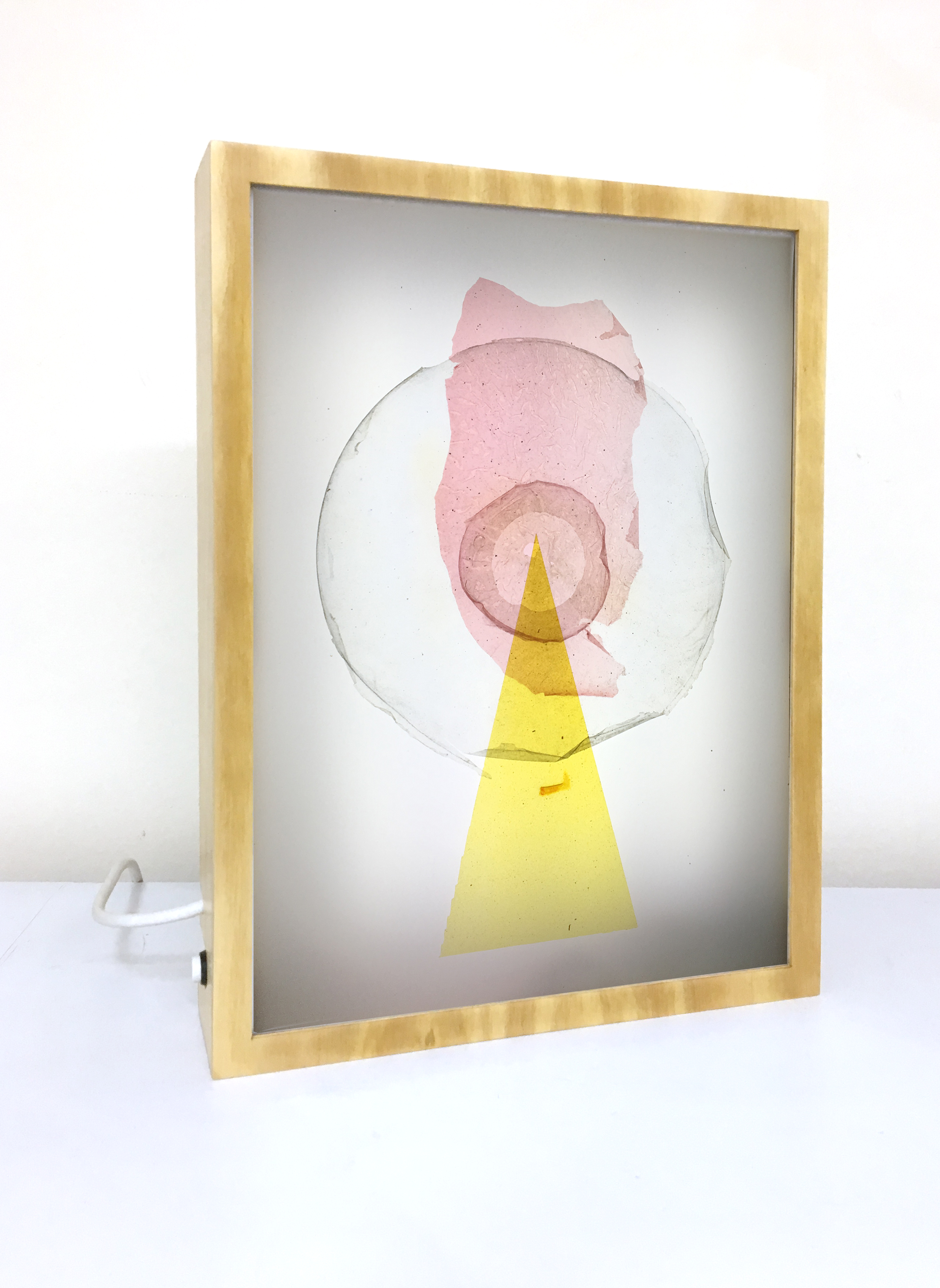 Ventana de Luz #02. Laminas de Bioplasticos y tintas vegetales (curcuma e hibiscus.)  Cajas de luz,  retro iluminadas de madera. 30 cm x 42. Precio: $300.000  / VENDIDA