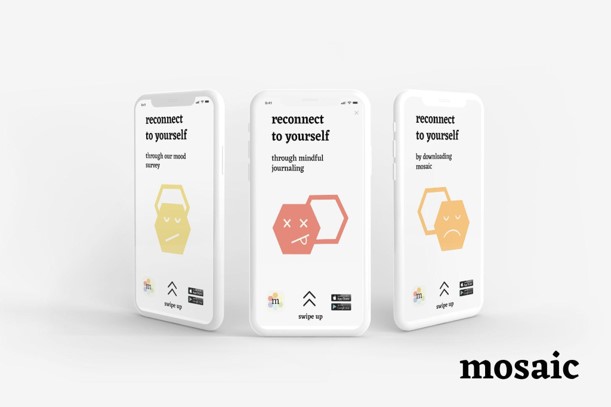 Mosaic Launch Campaign