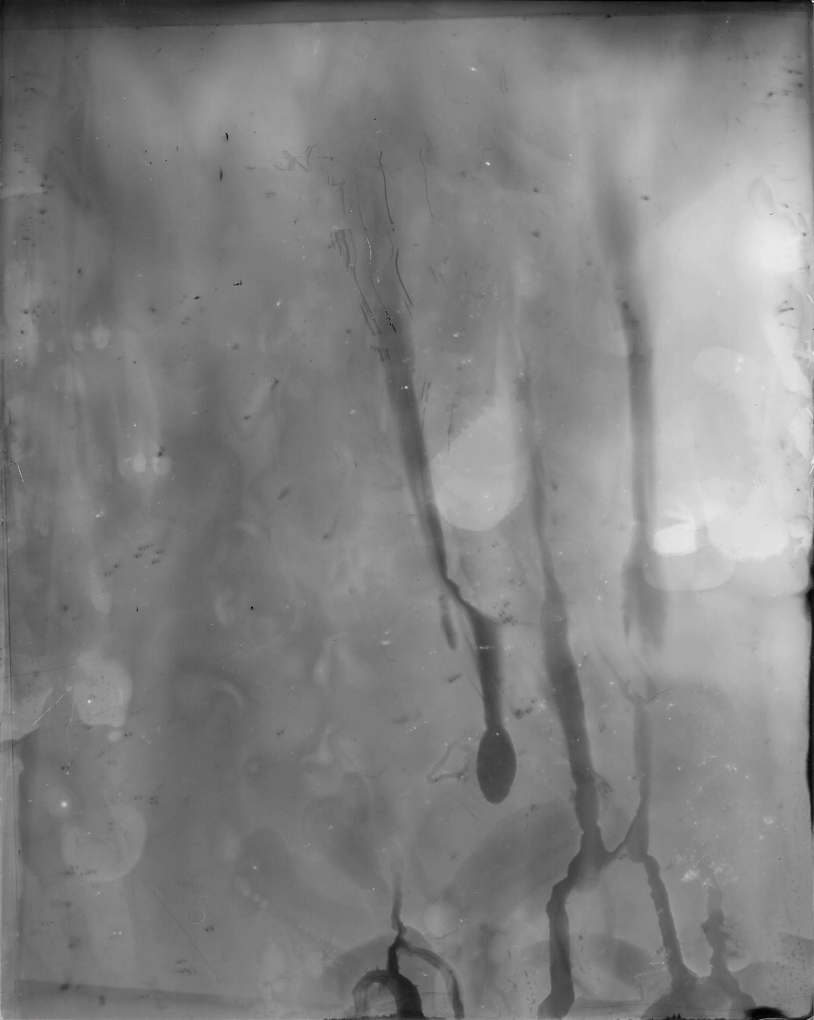 Ocean 02, 2020, 8 inches x 10 inches, Silver Gelatin Print