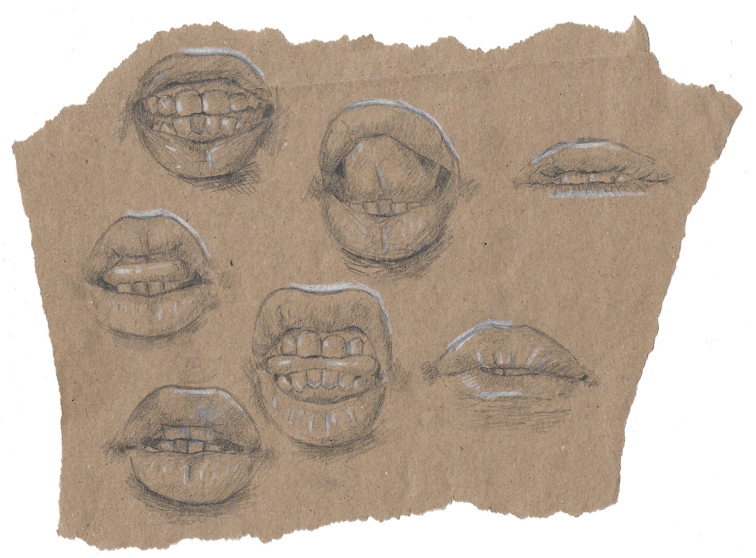 mirror sketches of my lips, used to create the stencils for my potato printers.