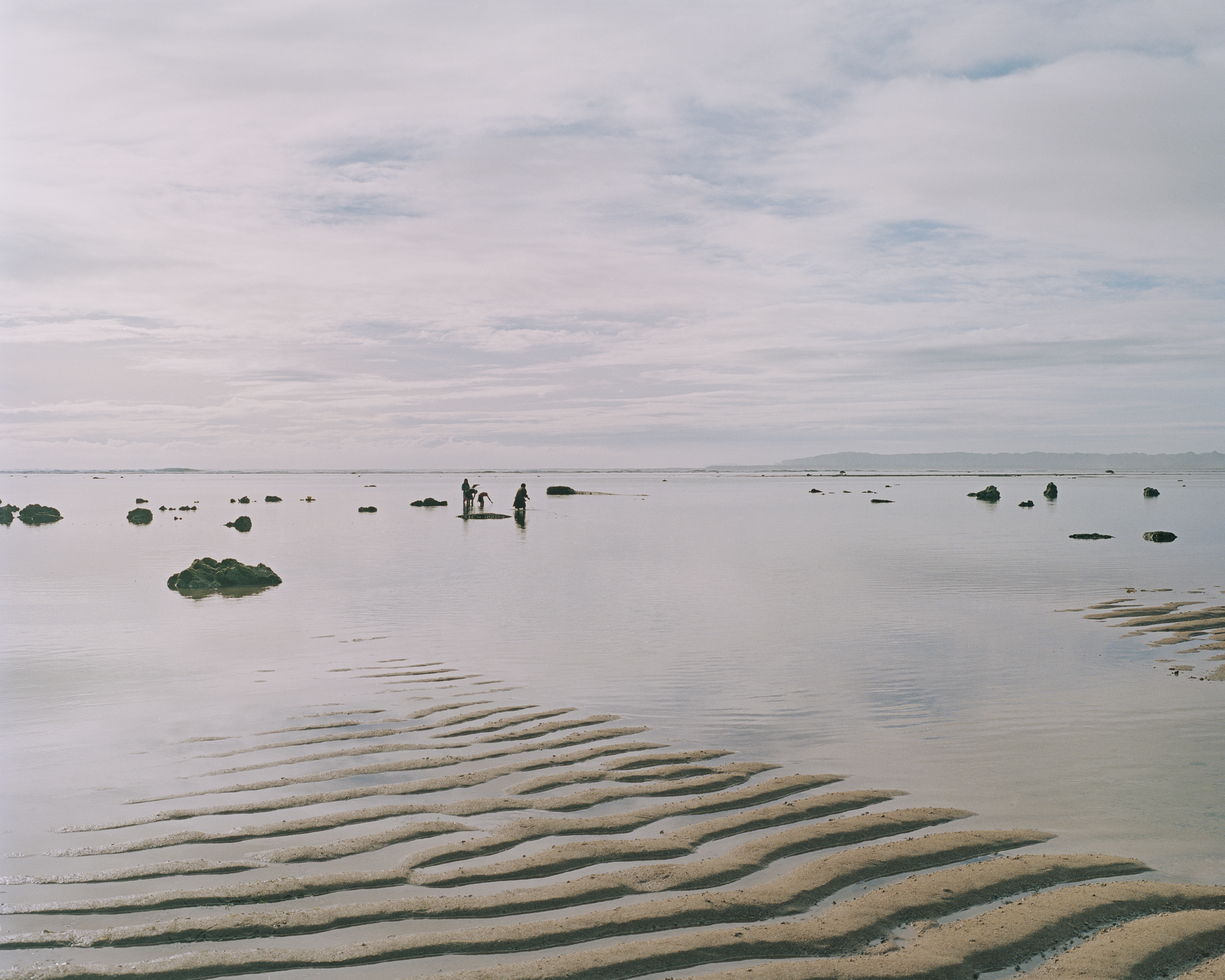 Down Hernani Shores (2014) - Benjamin Rasmussen · Photographer