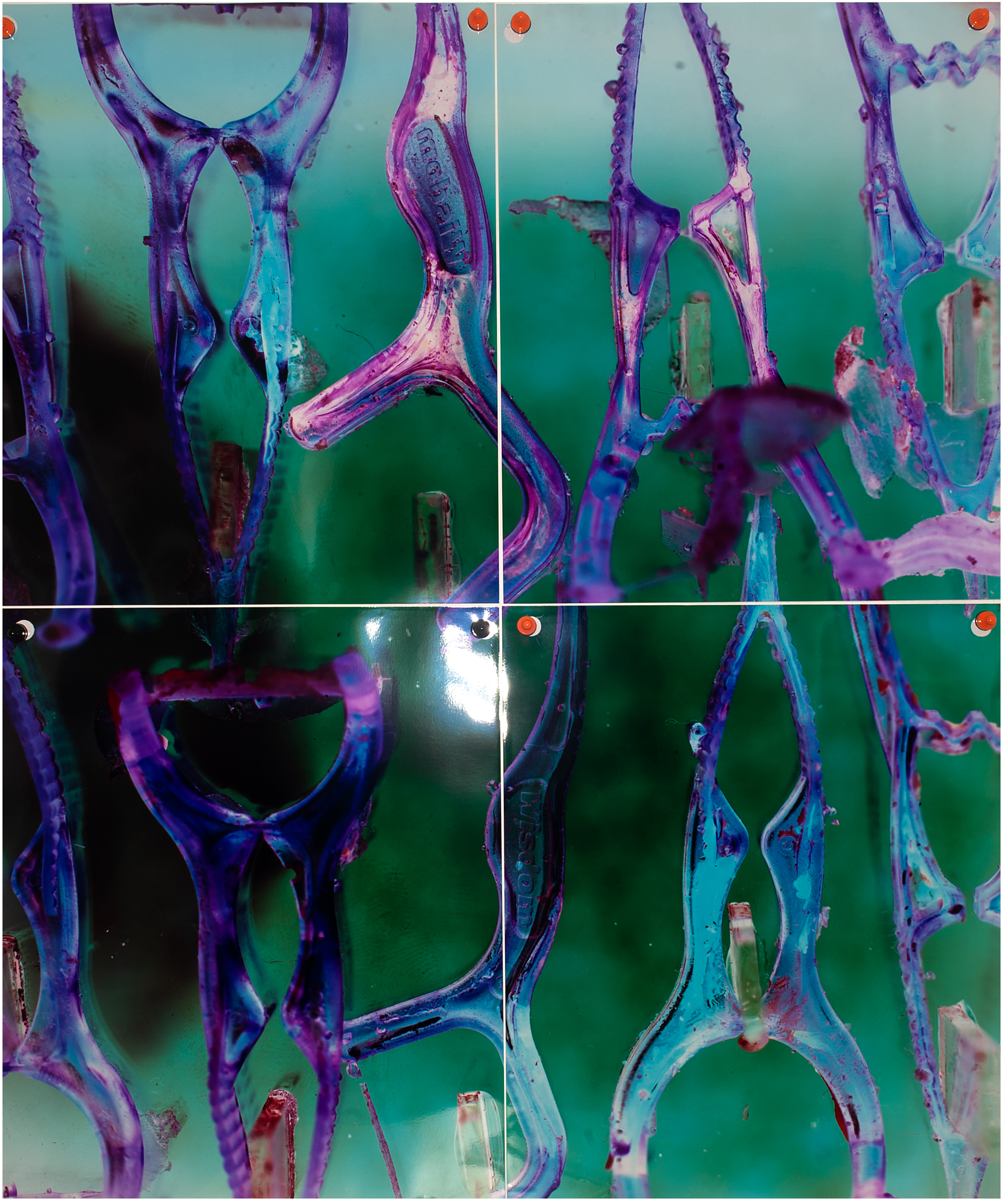 Untitled (Cast of tooth harps) | c-type negative | 1016 x 1220 mm, 40 x 48 in.