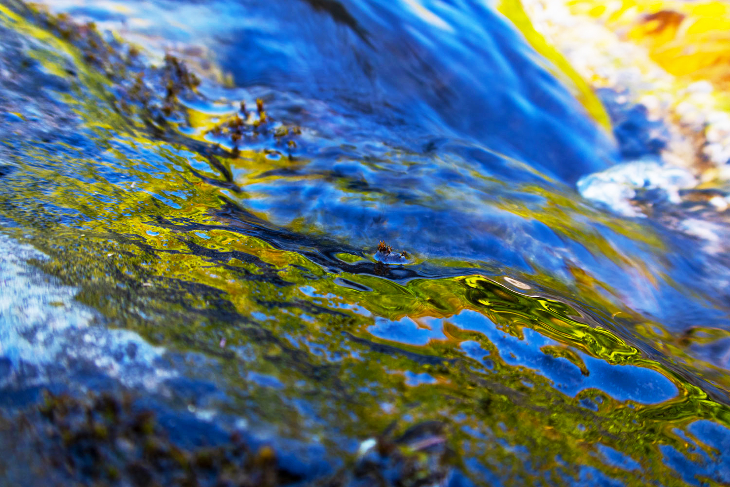 Creek, Archival Pigment Print, 17 X 22, Edition 1/10, 2021