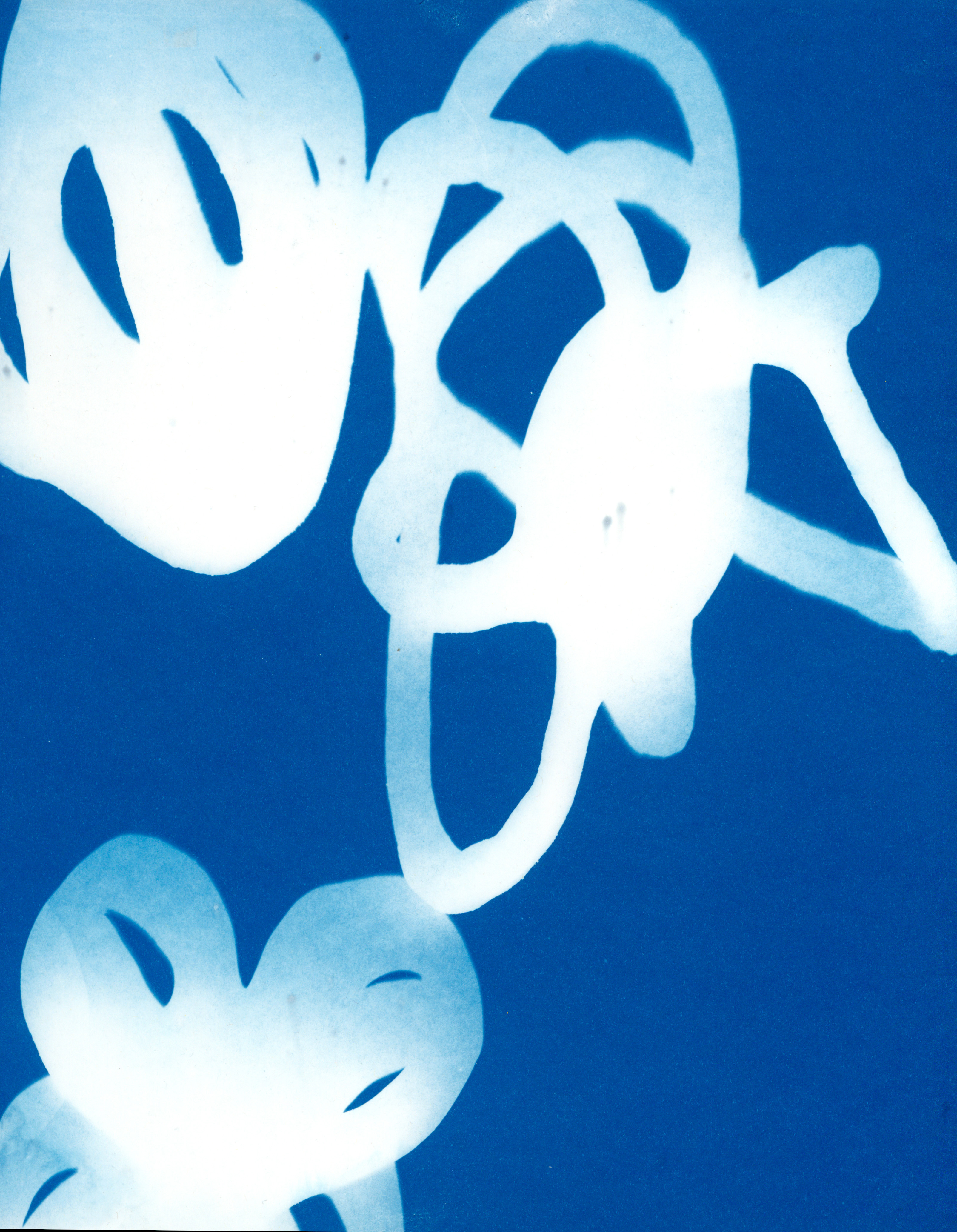 Branching Shadows, cyanotype print on paper, 11 x 14 inches, June 2022