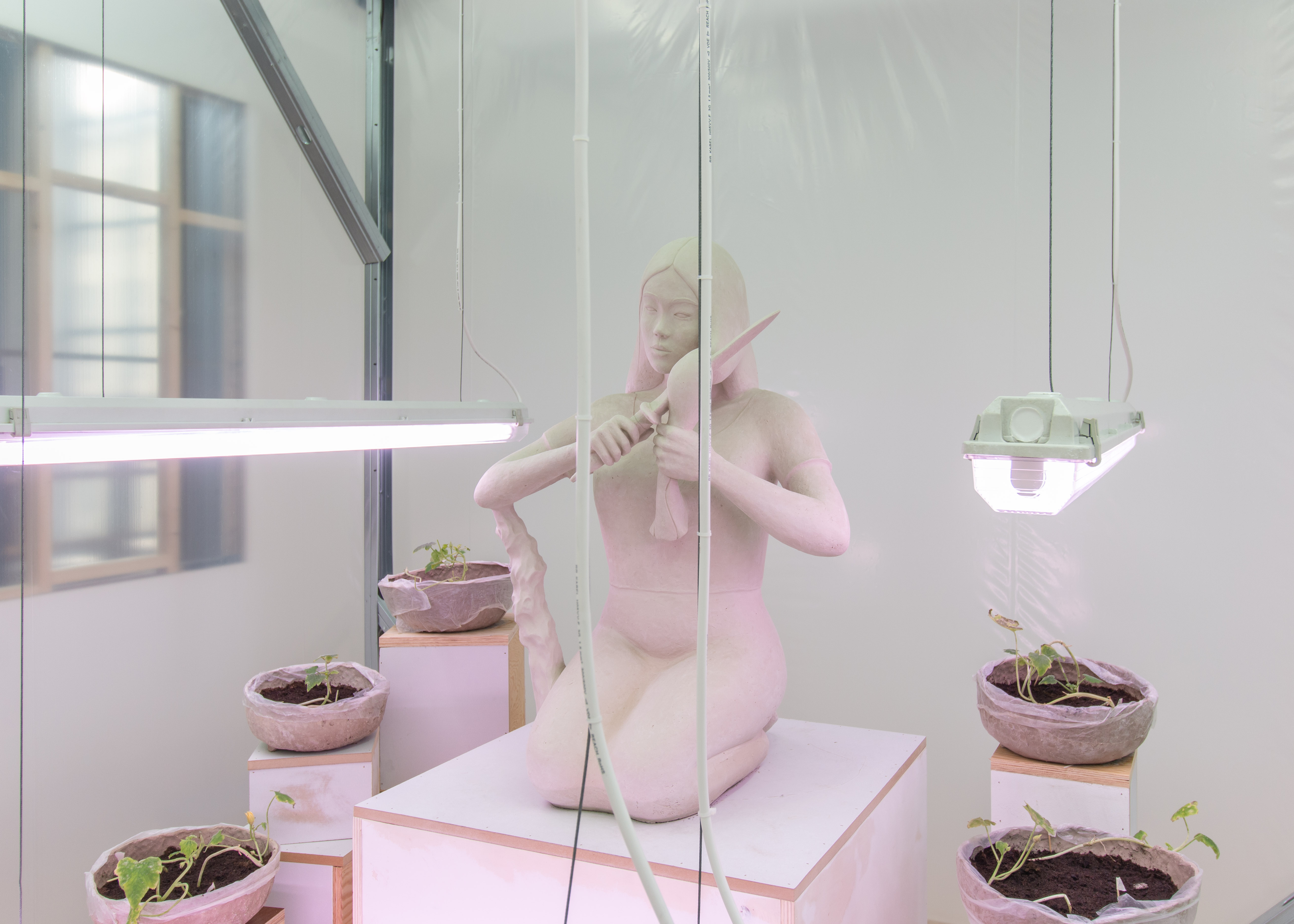 Self Portrait as Mulan (installation, Ghost Eat Mud, Kunsthal Gent)Raw clay, grow lights, steel, wood, plastic, ventilation, soil, zucchini seedlings; a misting system generates a fine lingering mist every hour for 10 seconds at the stroke of the the hour