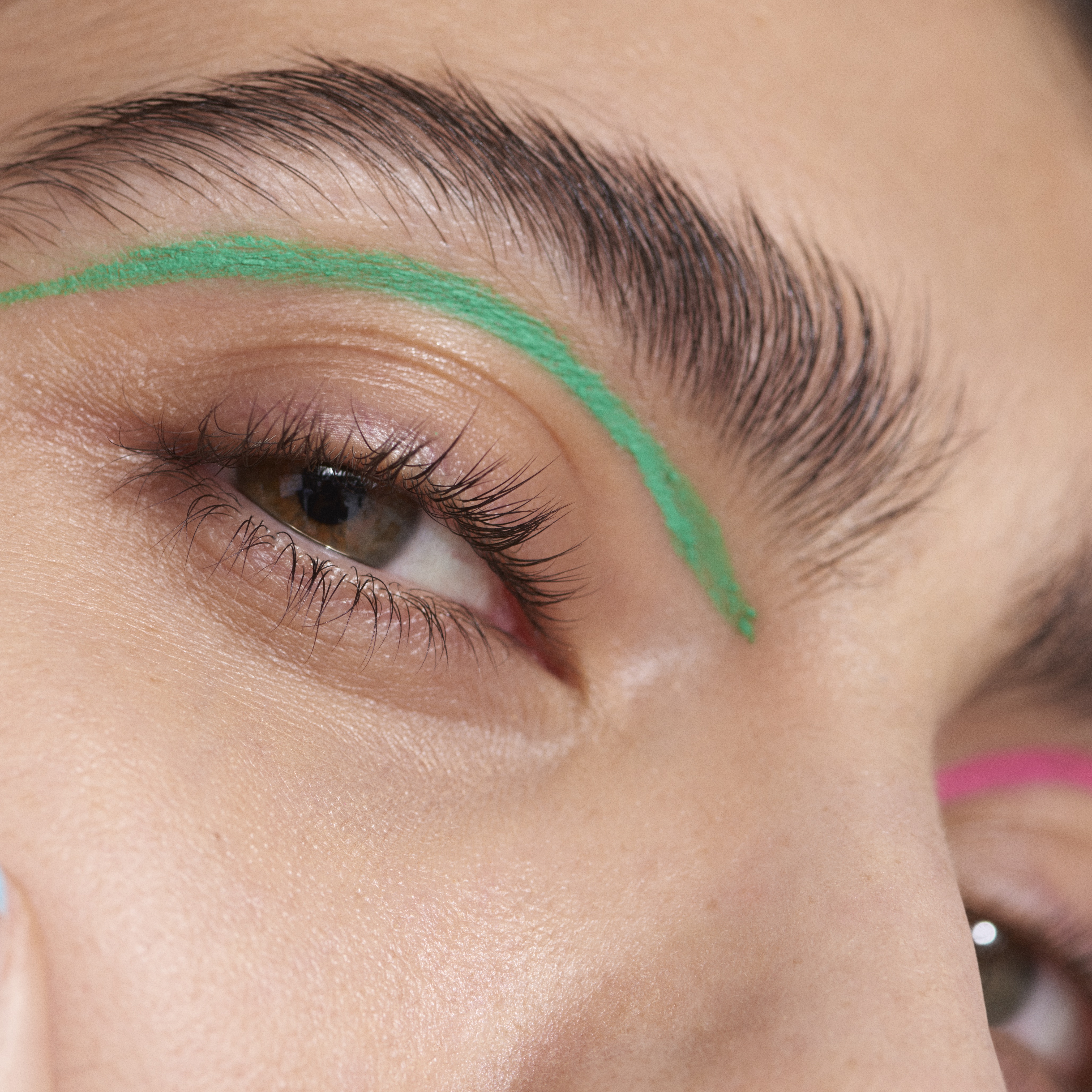 TREATWELL CAMPAIGN 2020