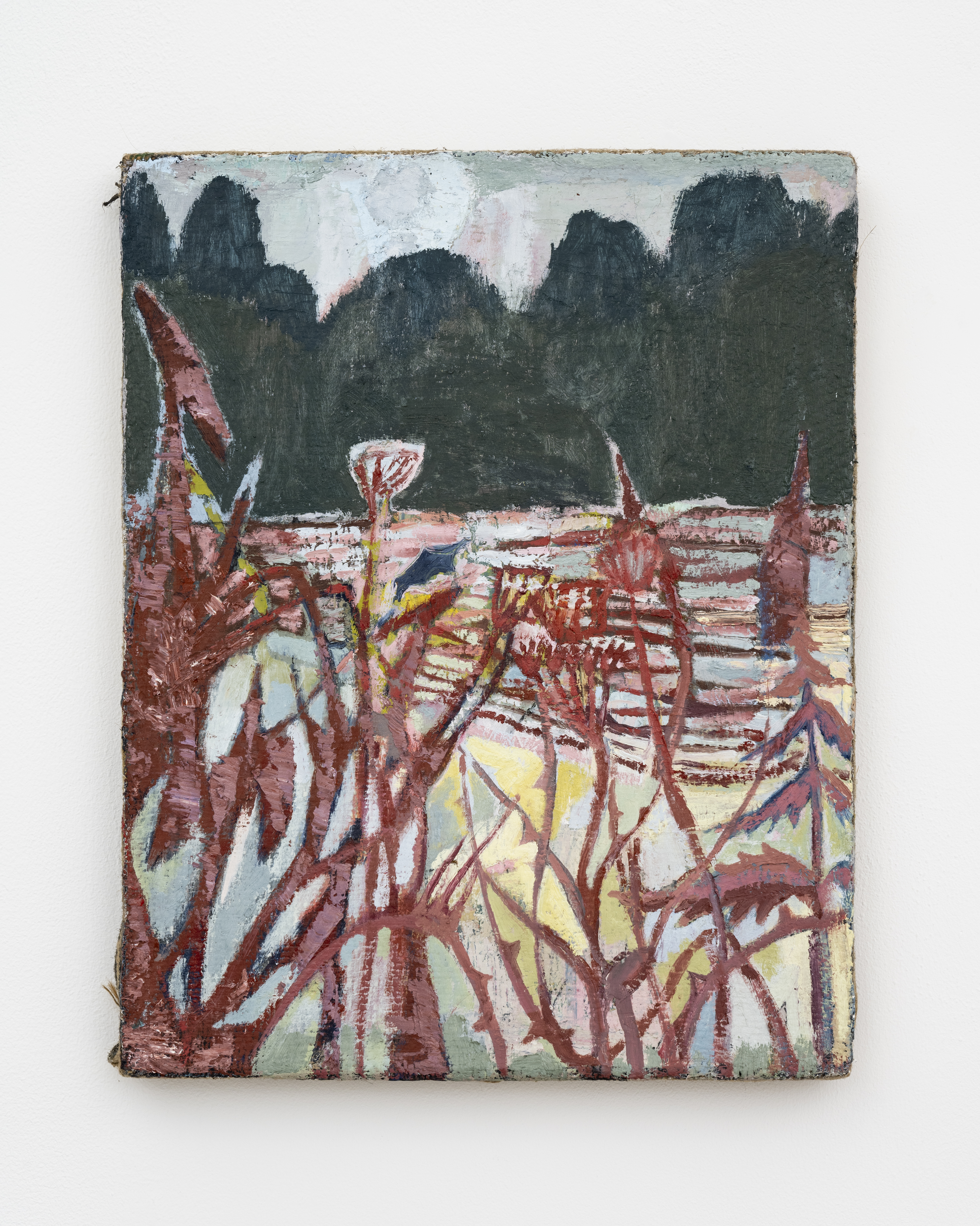 Cruel Nature, 2021 Oil on canvas 50x40cm