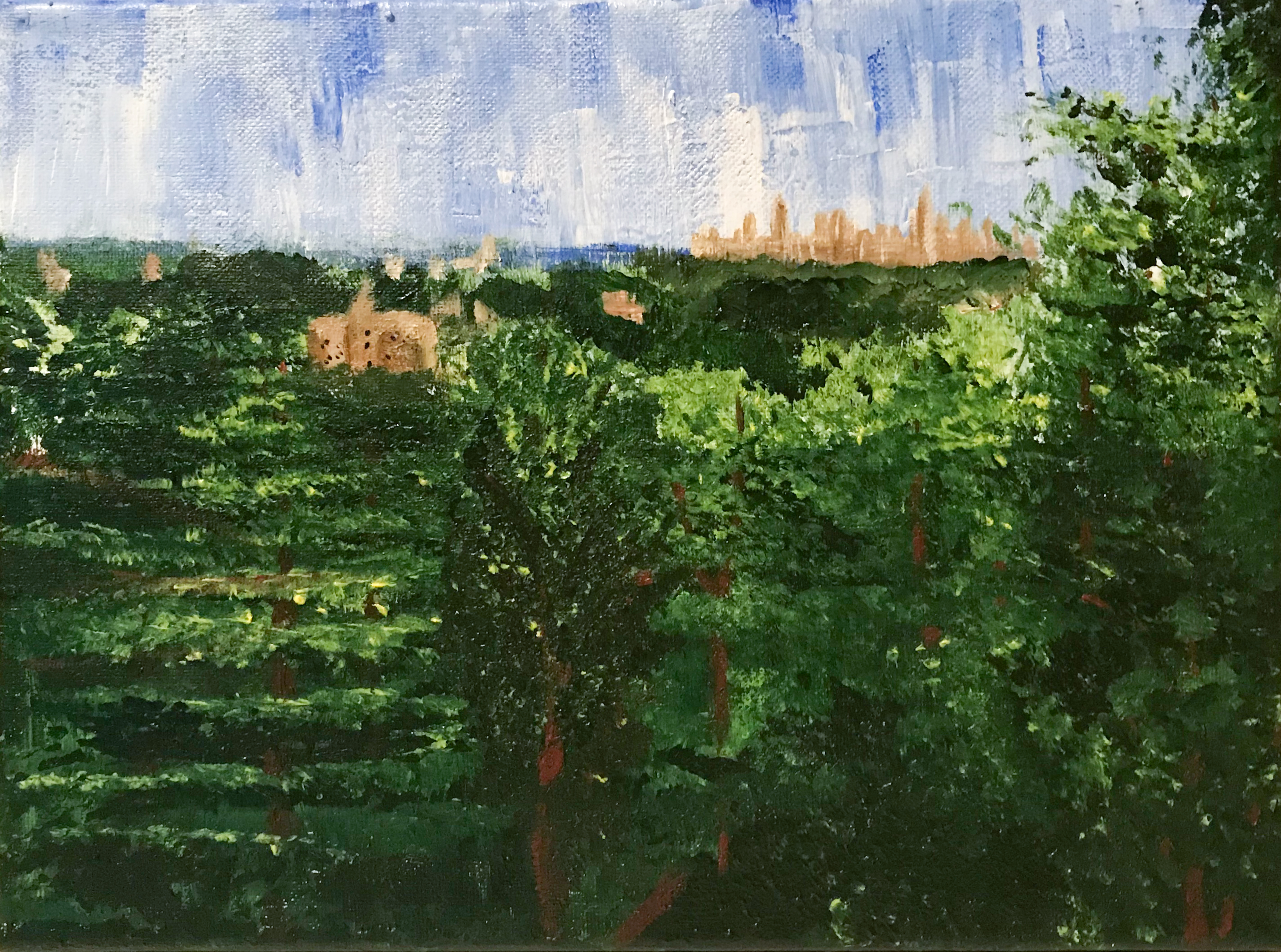 Kennesaw Mtn, GA | 2020