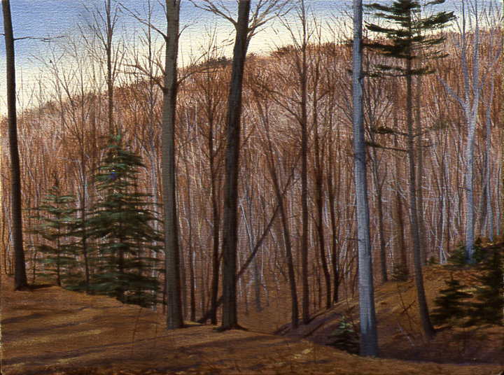 L1.19 - winter hills