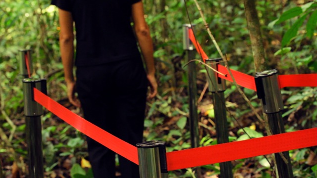 Comfort Zone (Zona de confort), 2010