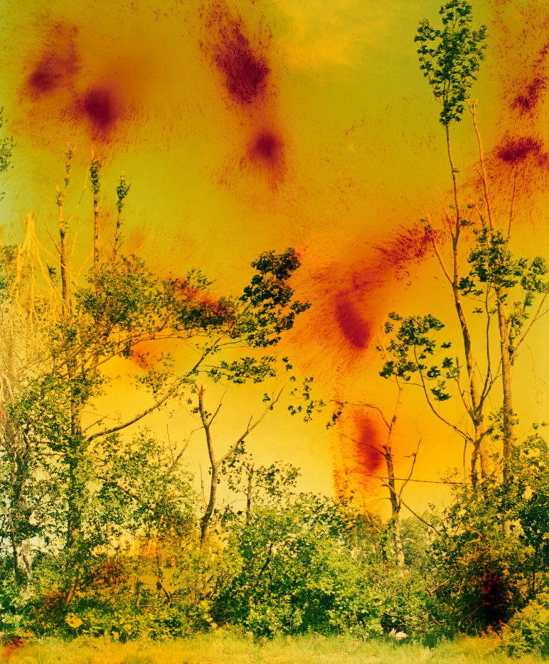 Icestorm (2001). David Zwirner, New York/Hong Kong, Galerie Buchholz, Berlin/Cologne, Maureen Paley, London