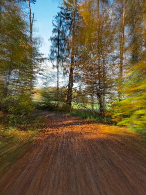 Auf dem Pfad der in eine verborgene Welt führt 