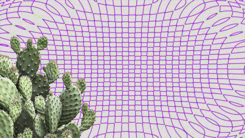 The Coffee Party @Snickiriet