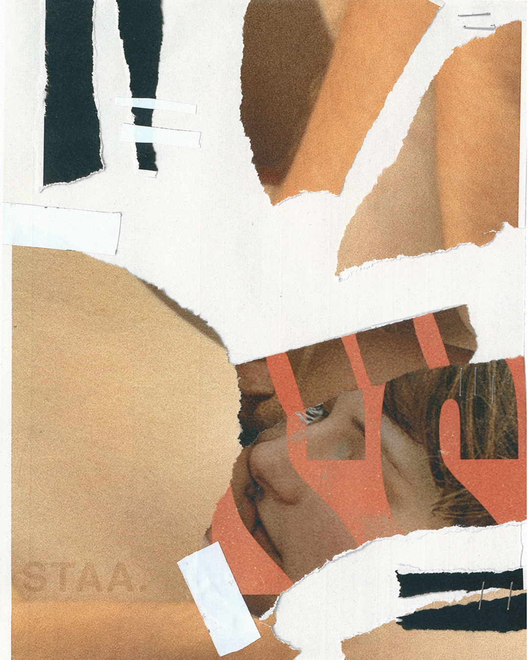 STAA. Collage, 2019