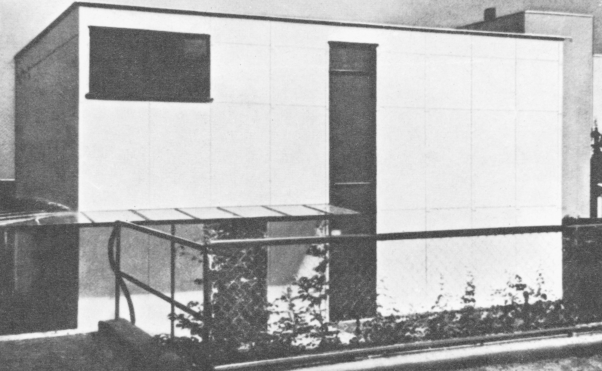 4/5 &mdash; LIZARD BASKING