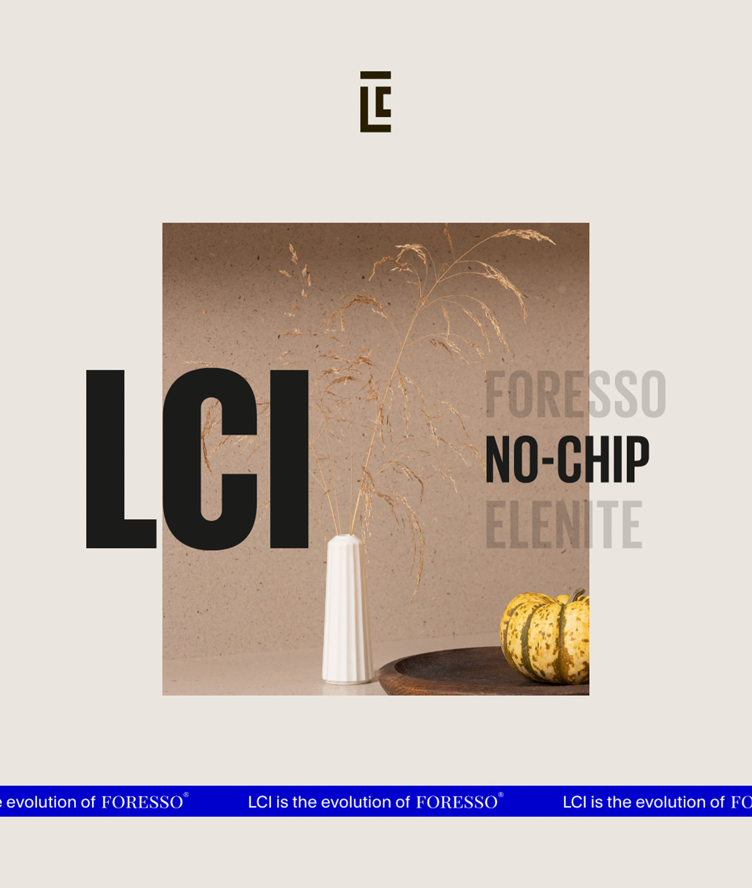 LCI &mdash; Paid Ads, 2025.