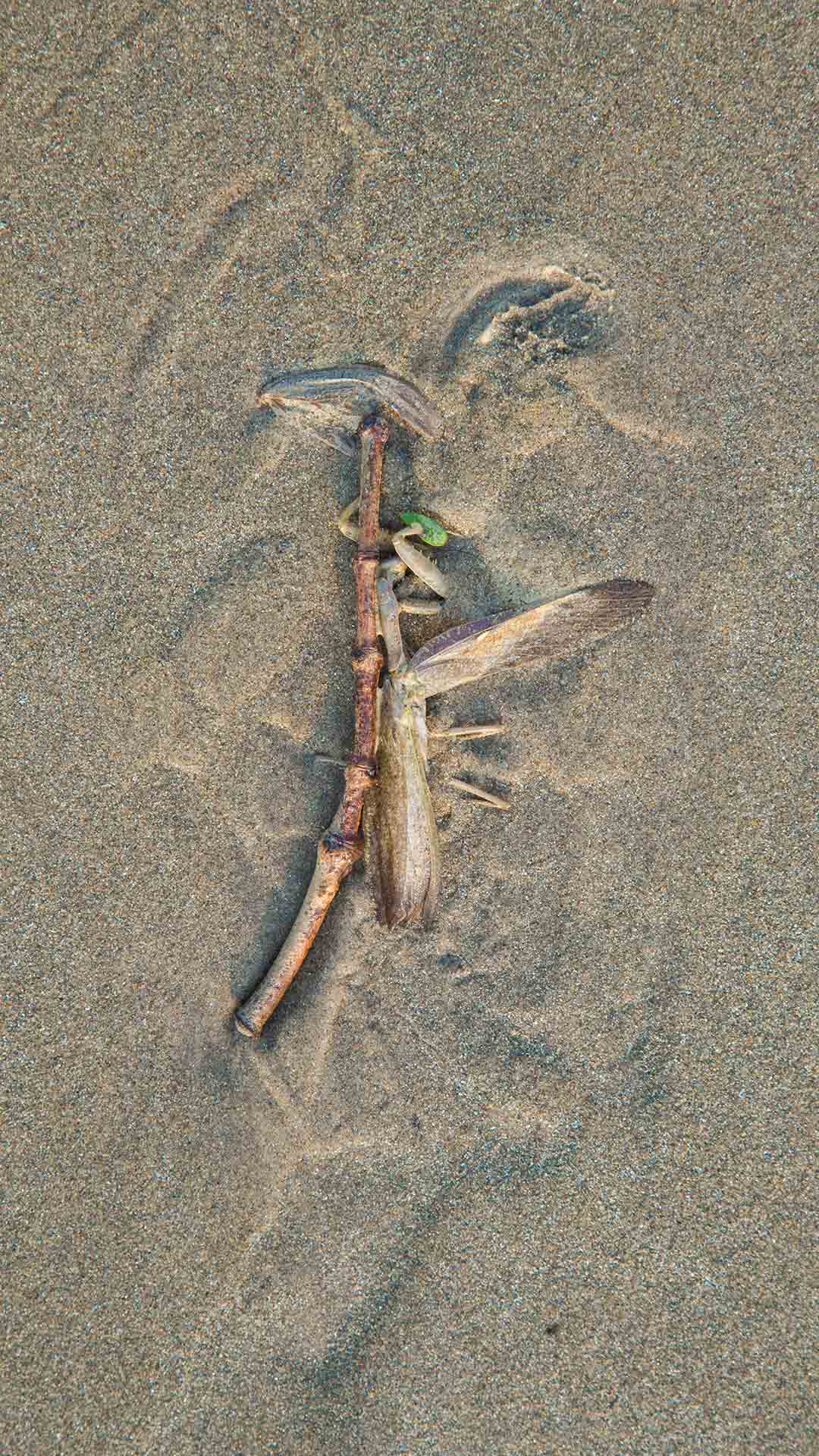 Choreographing Floors