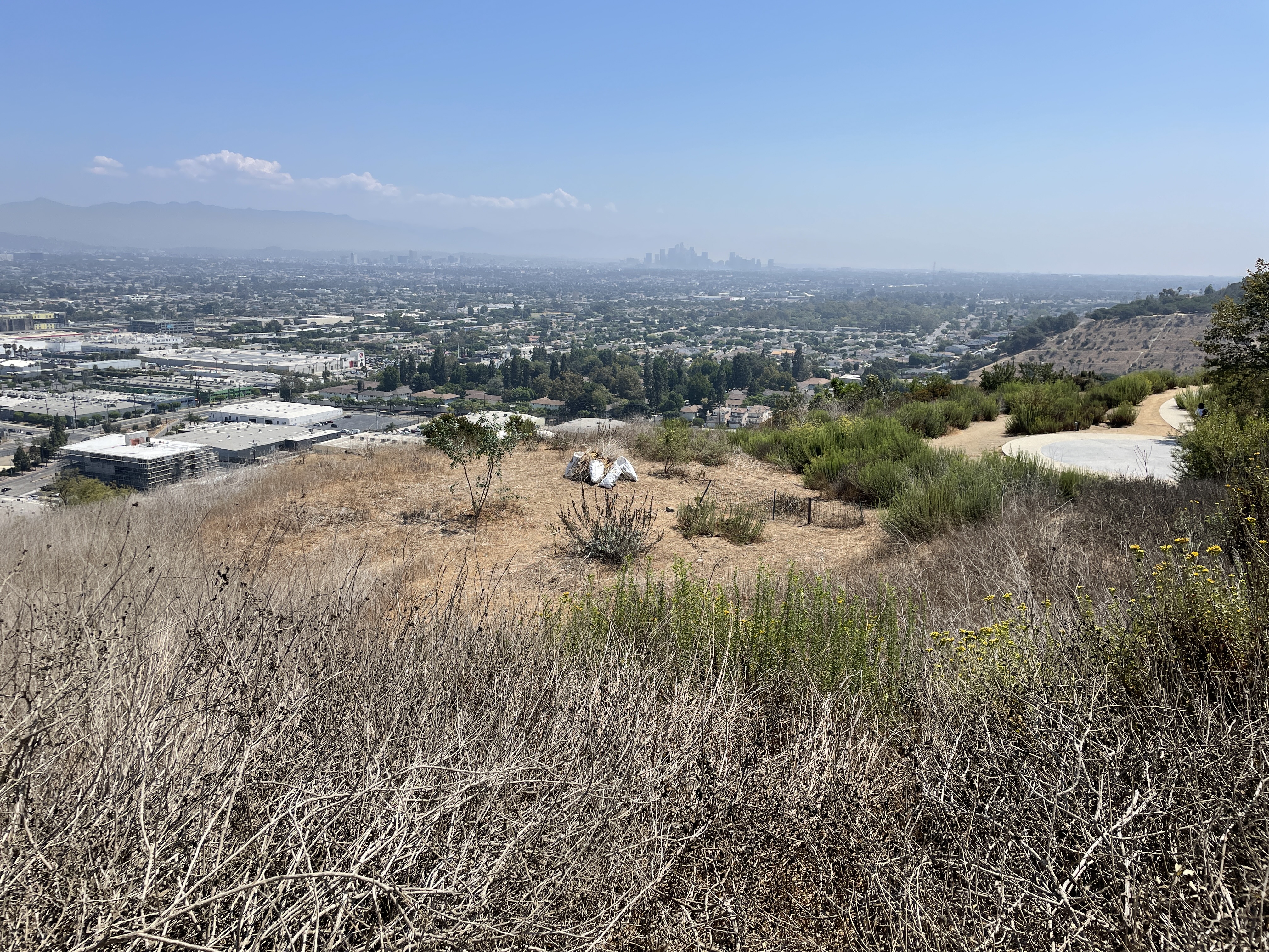 Before planting, September 2021