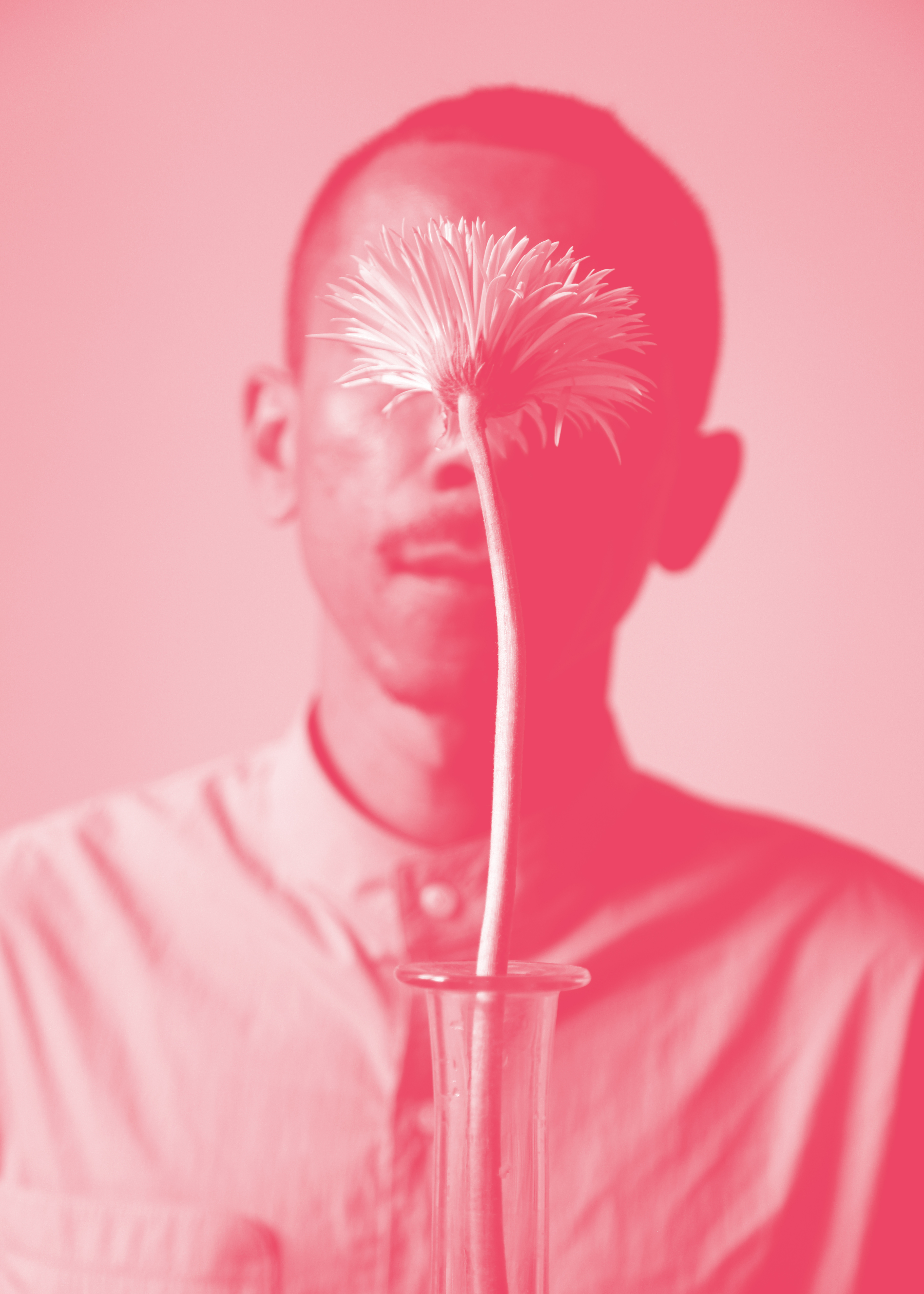 How to Behold a Flower, 2021