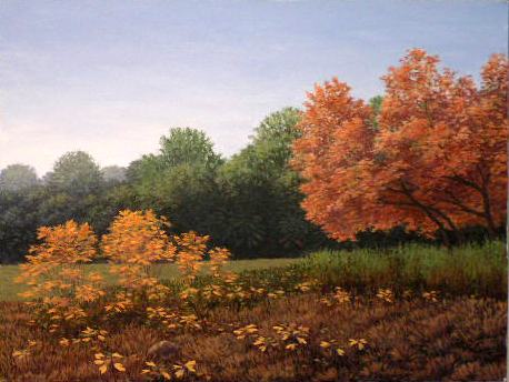 L2.53 - Indian summer