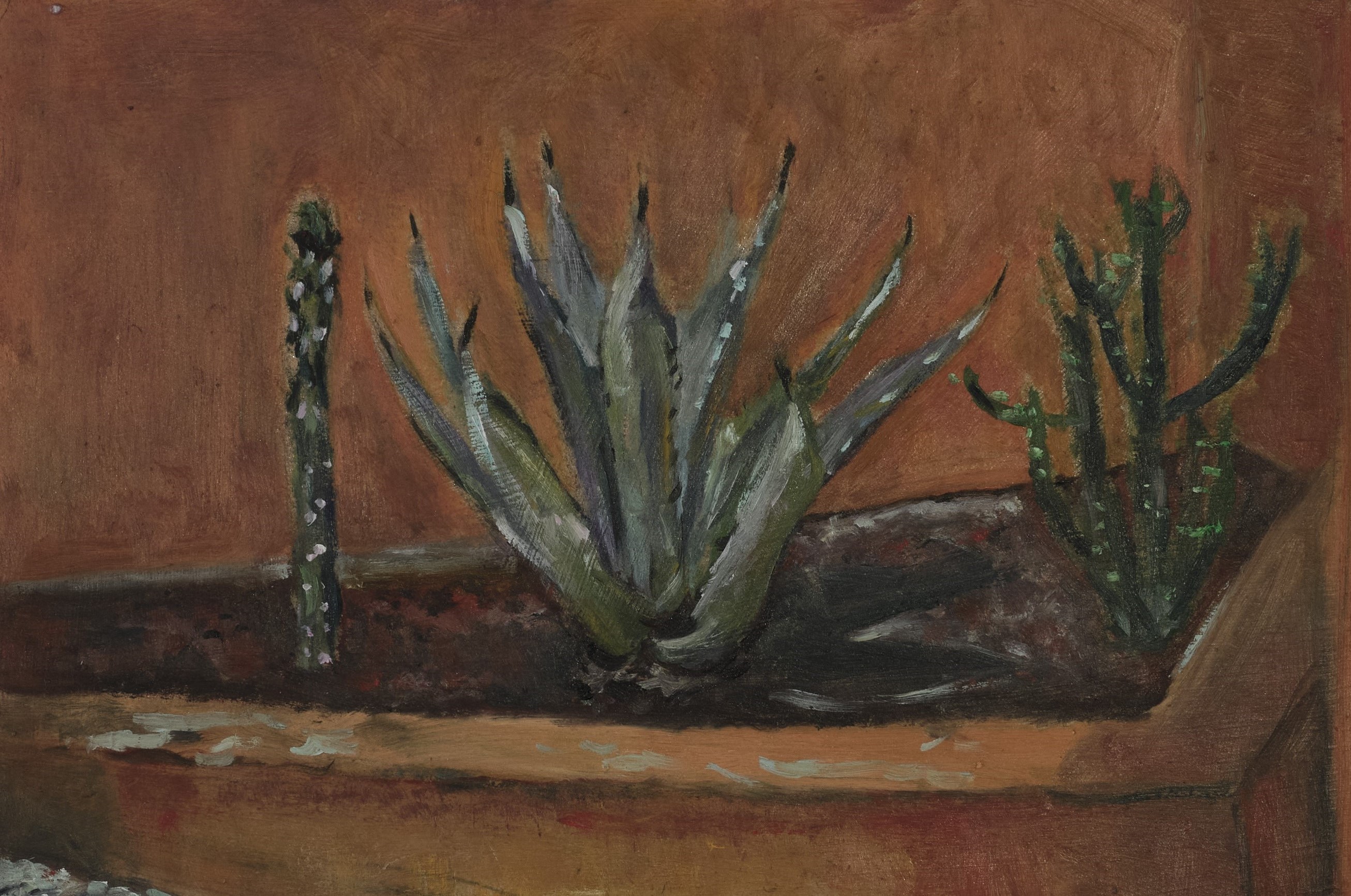 Rodrigo Echeverría, Cactus with Orange Background, 2023, oil on wood, 7 7/8 x 11 3/4 in / 20 x 30 cm © Rodrigo Echeverría