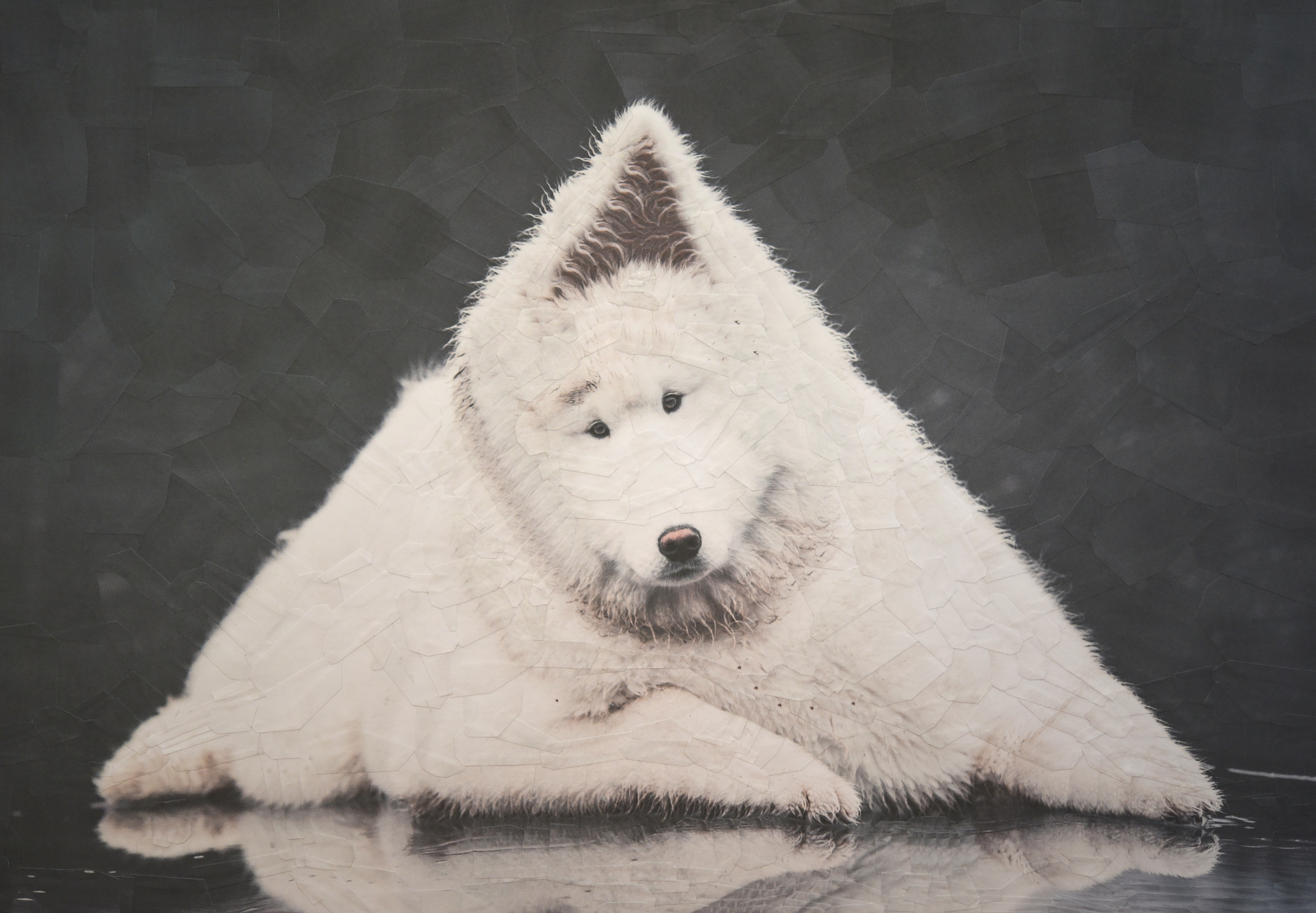 Edwin, 2020, 16.5 x 11.5 inches