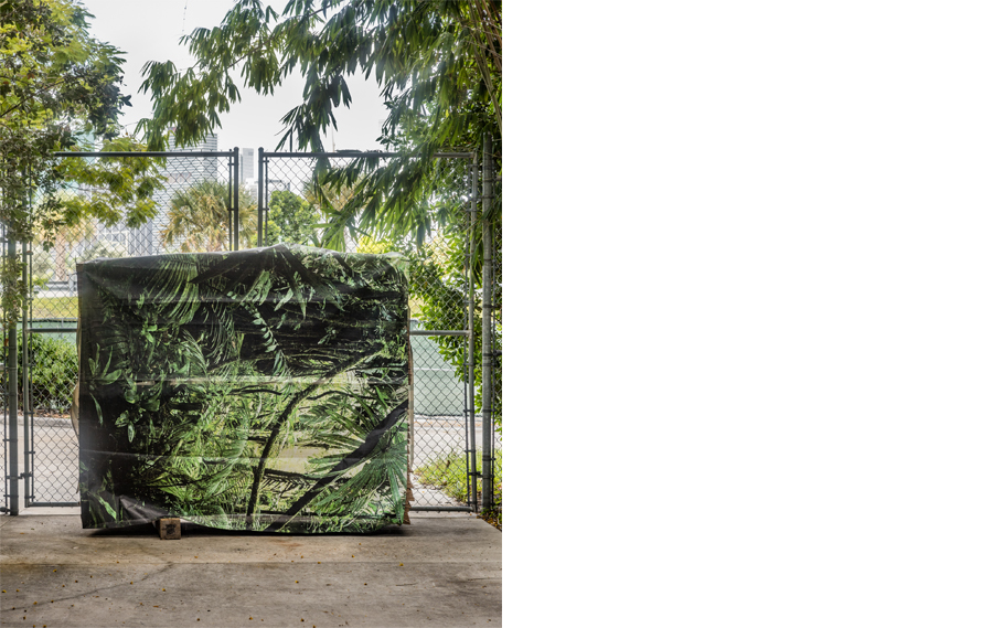 Camouflage, 2017. Archival pigment print 40 x 32 inches. Edition of 5.