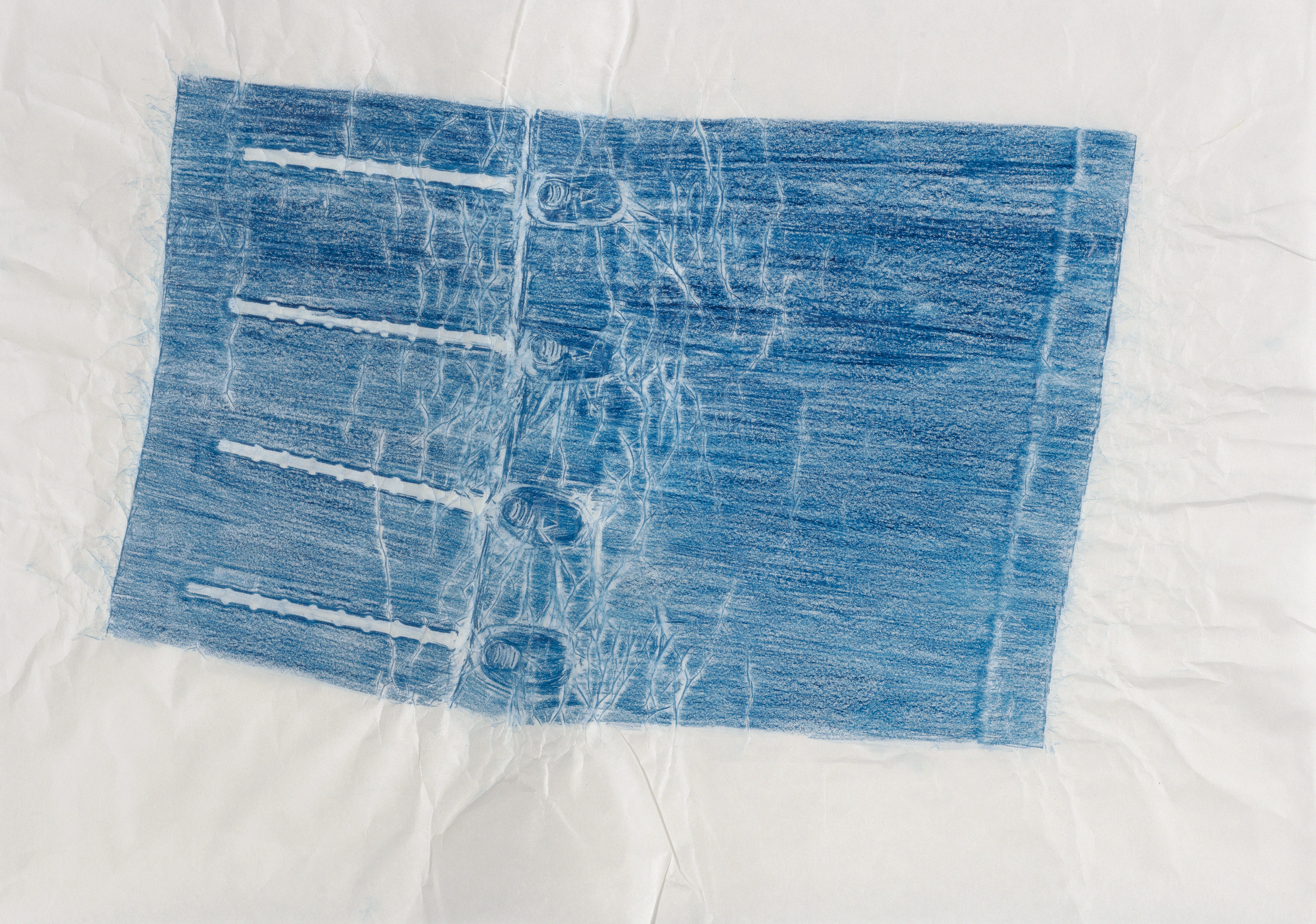 Bissel Zing Vacuum Cleaner Wand, 2016. Frottage, 36 &times; 50 &frac12; inches