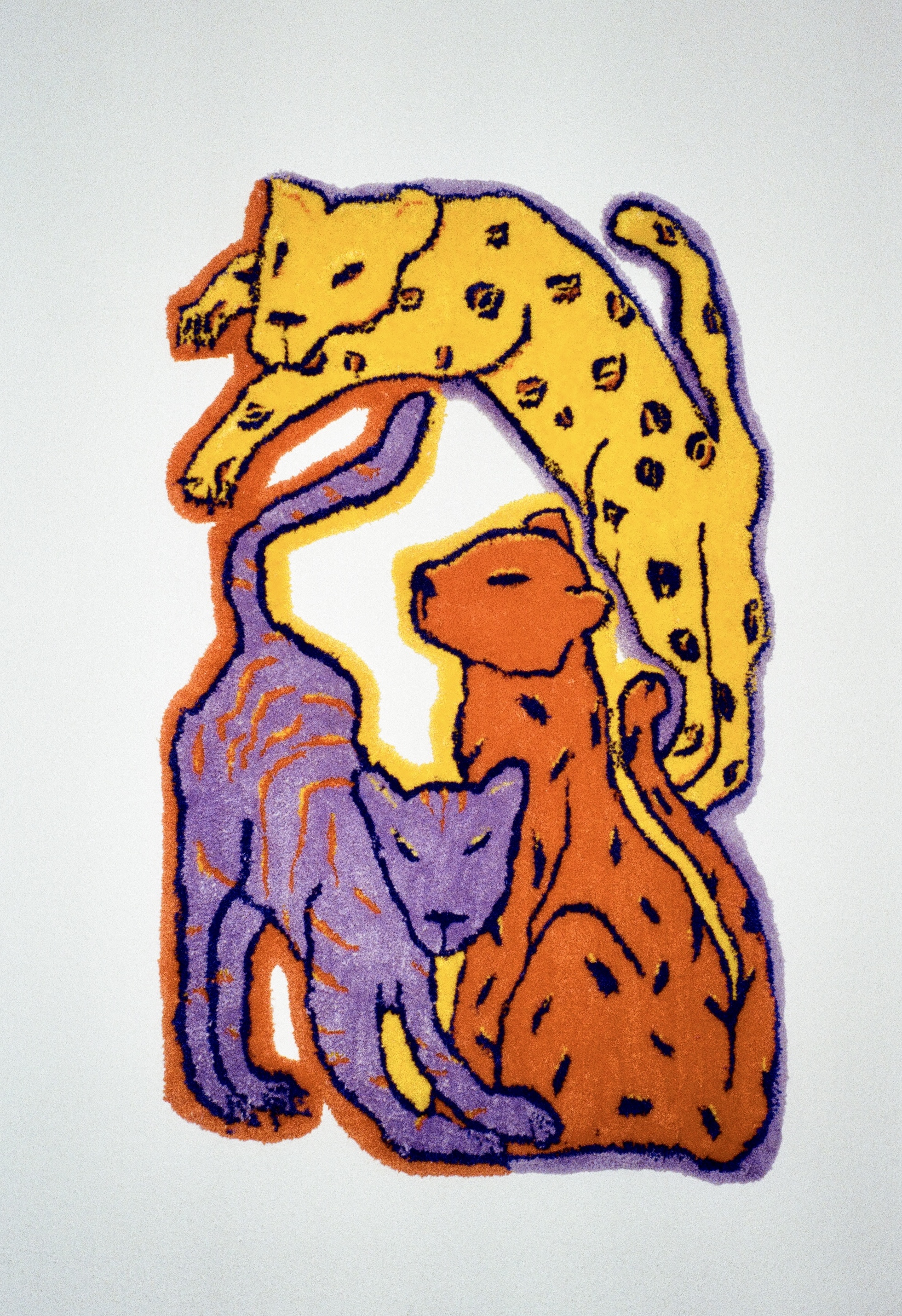 Go Wildcats, Teppich 71x85, mit Lea Niedermann, 2021