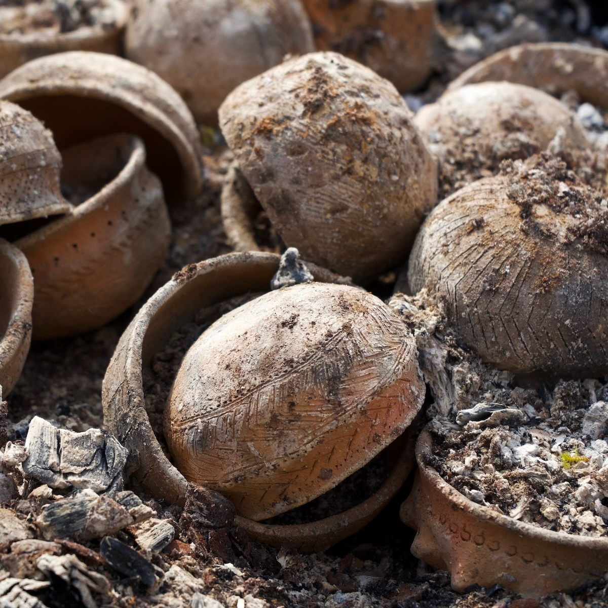 Dunragit, Spring Fling 2024