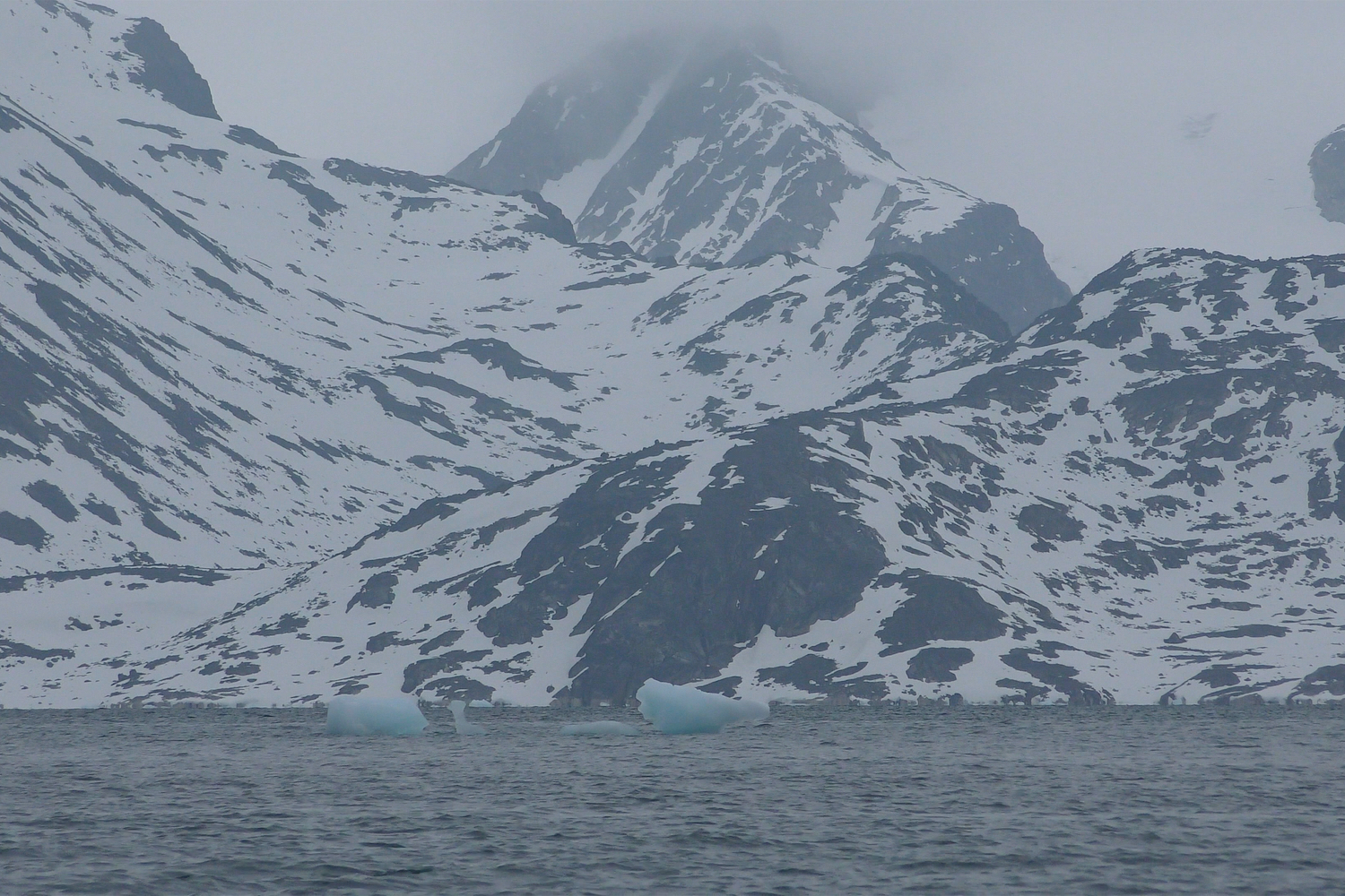 Current by Matt Freiburghaus