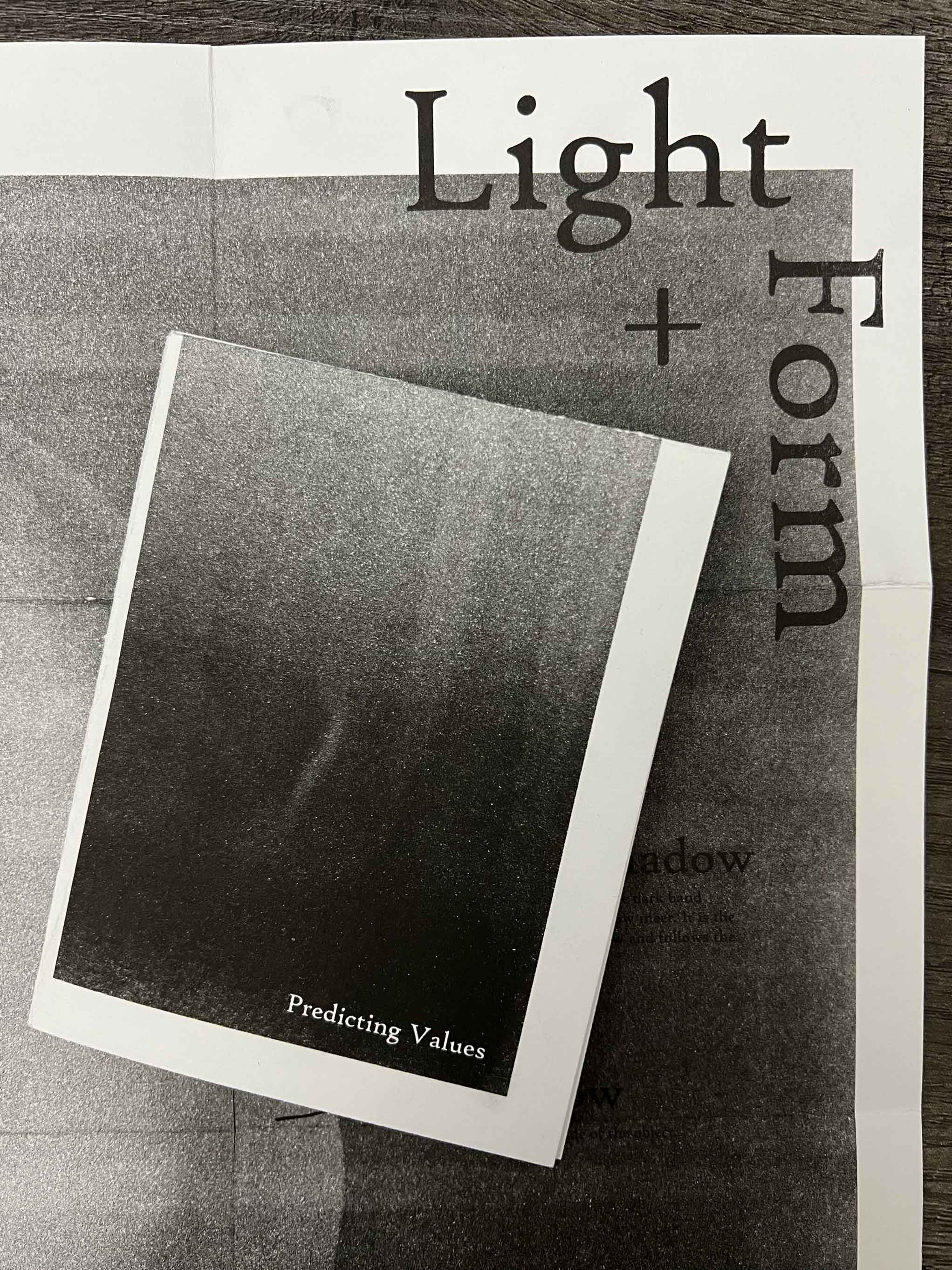 Predicting Values Zine