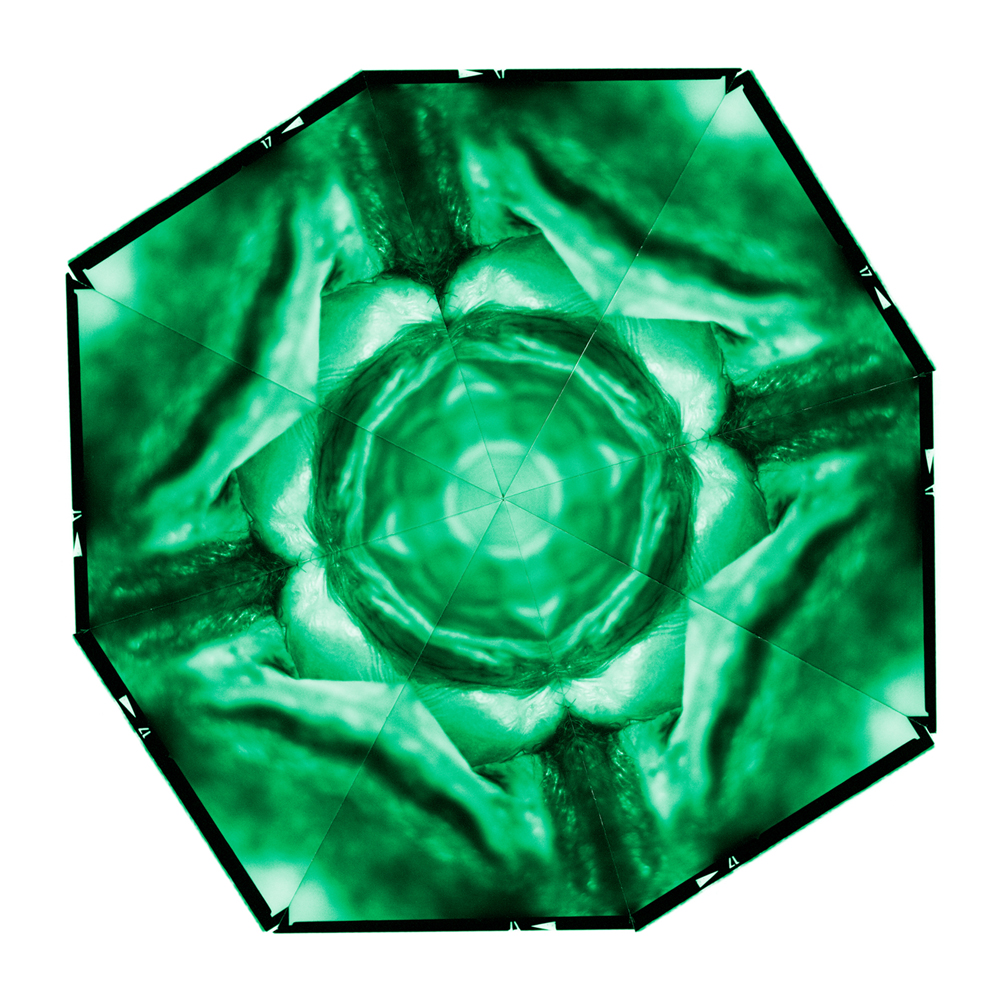 2006 05The Colourful Flowers of Delight