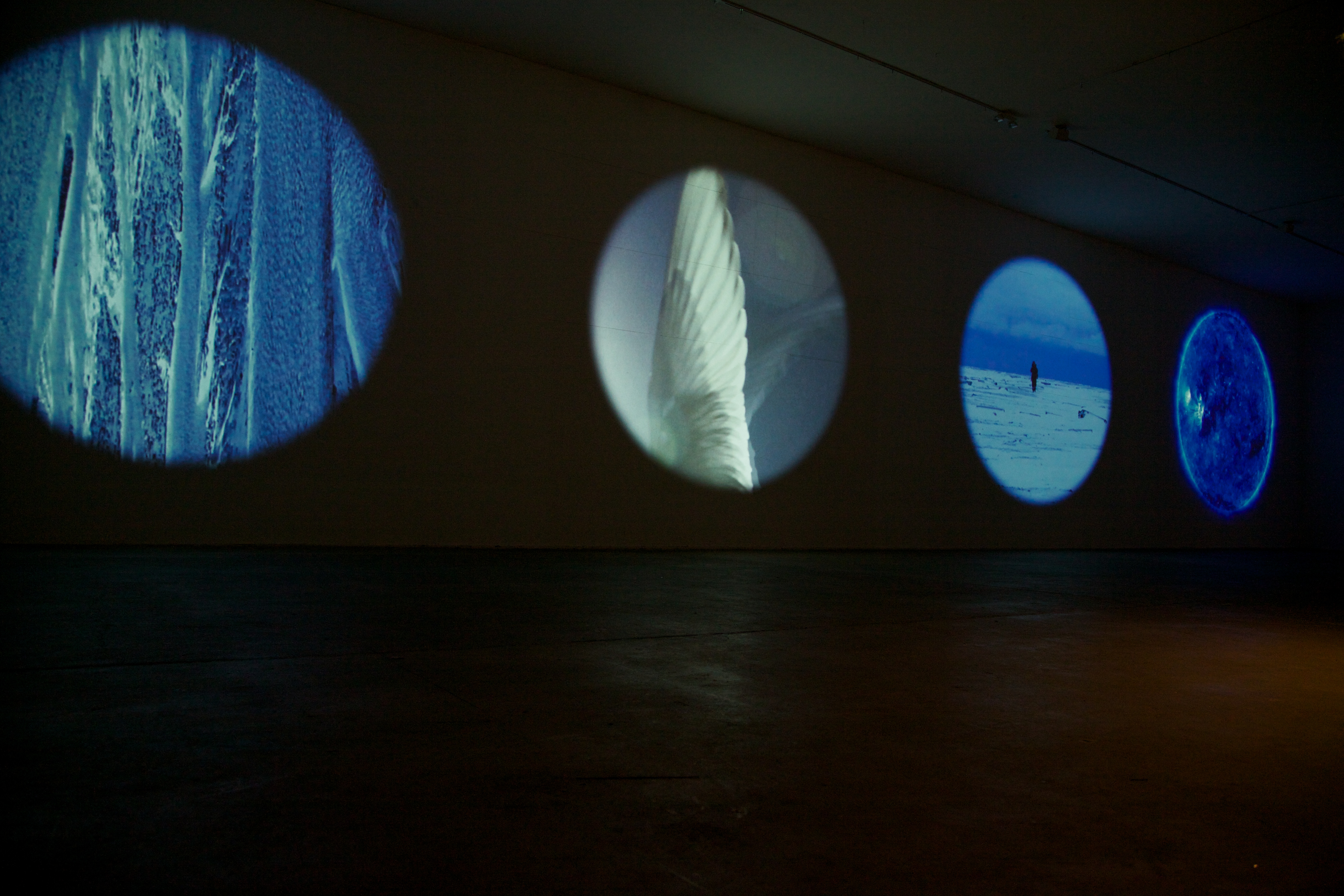 CircumSolar, Migration 1, 2013. Four channel video installation. 100 × 30 ft. 26:20 minutes (loop). Installation view: Due North / í Nor∂ur, Icebox Project Space.